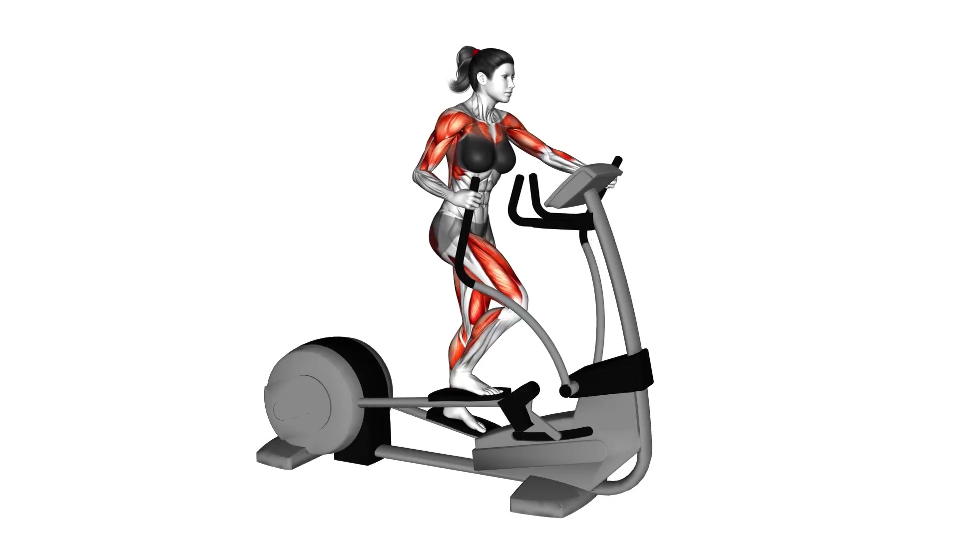 Cardio Machine Exercise demo