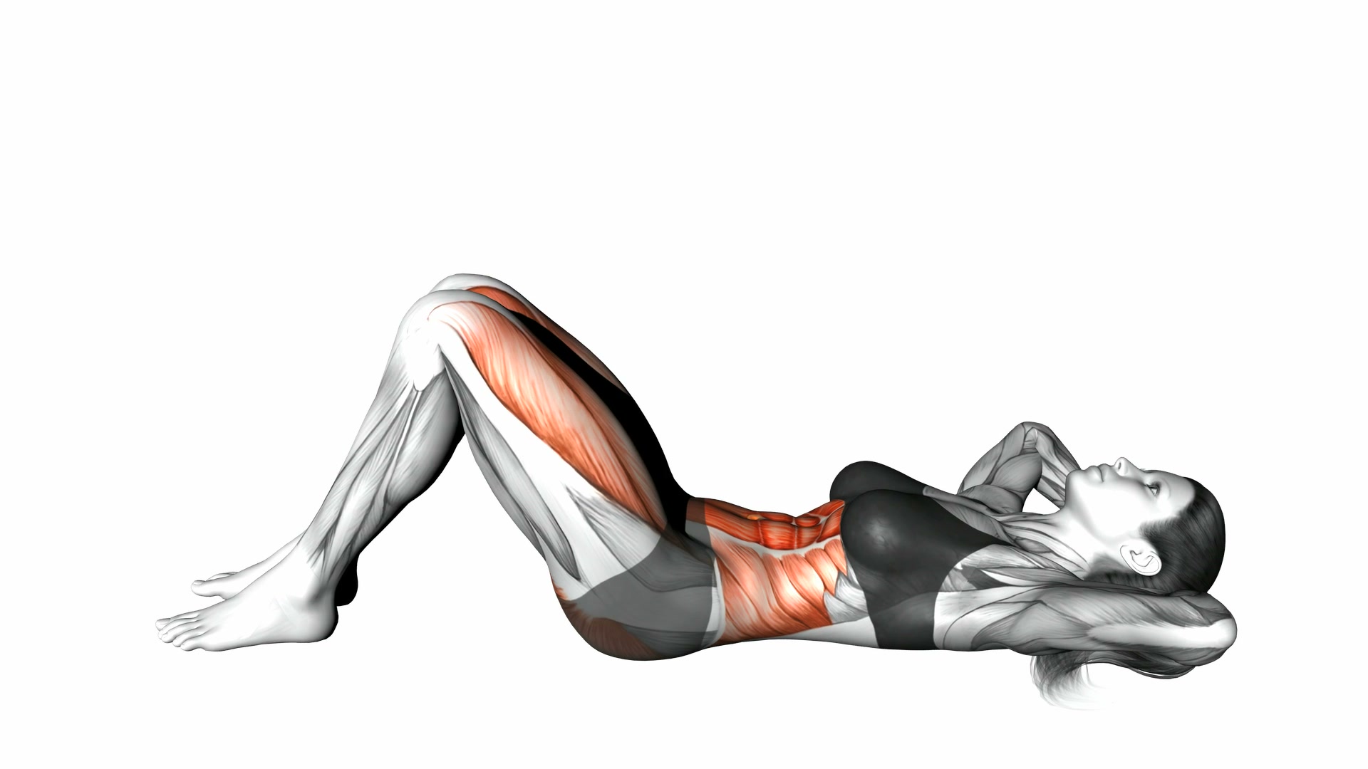 Leg Raise Crunch demo