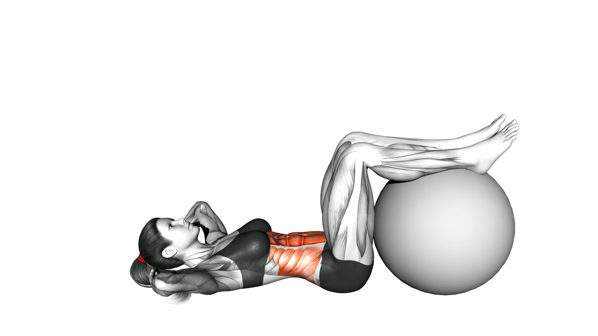 Stability Ball Leg Elevated Crunch demo