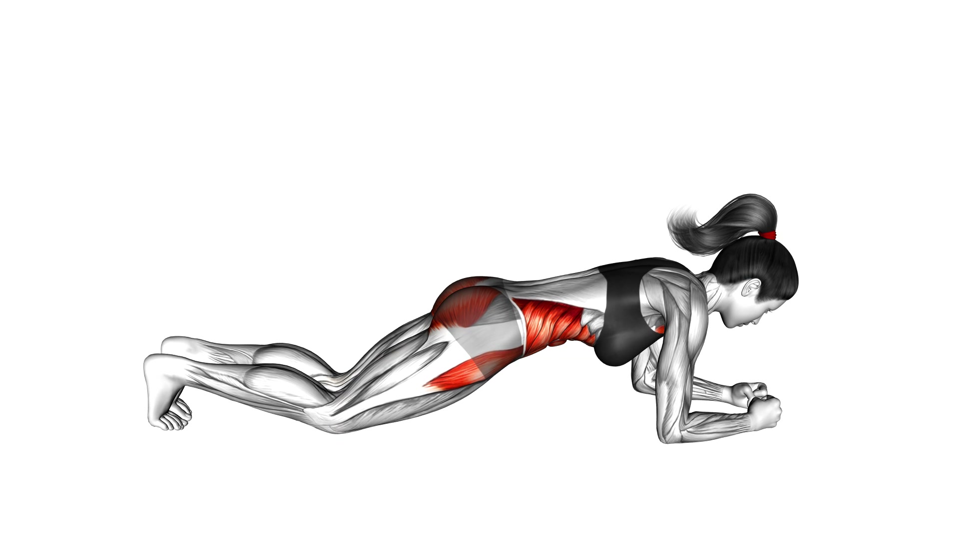 Front Plank demo