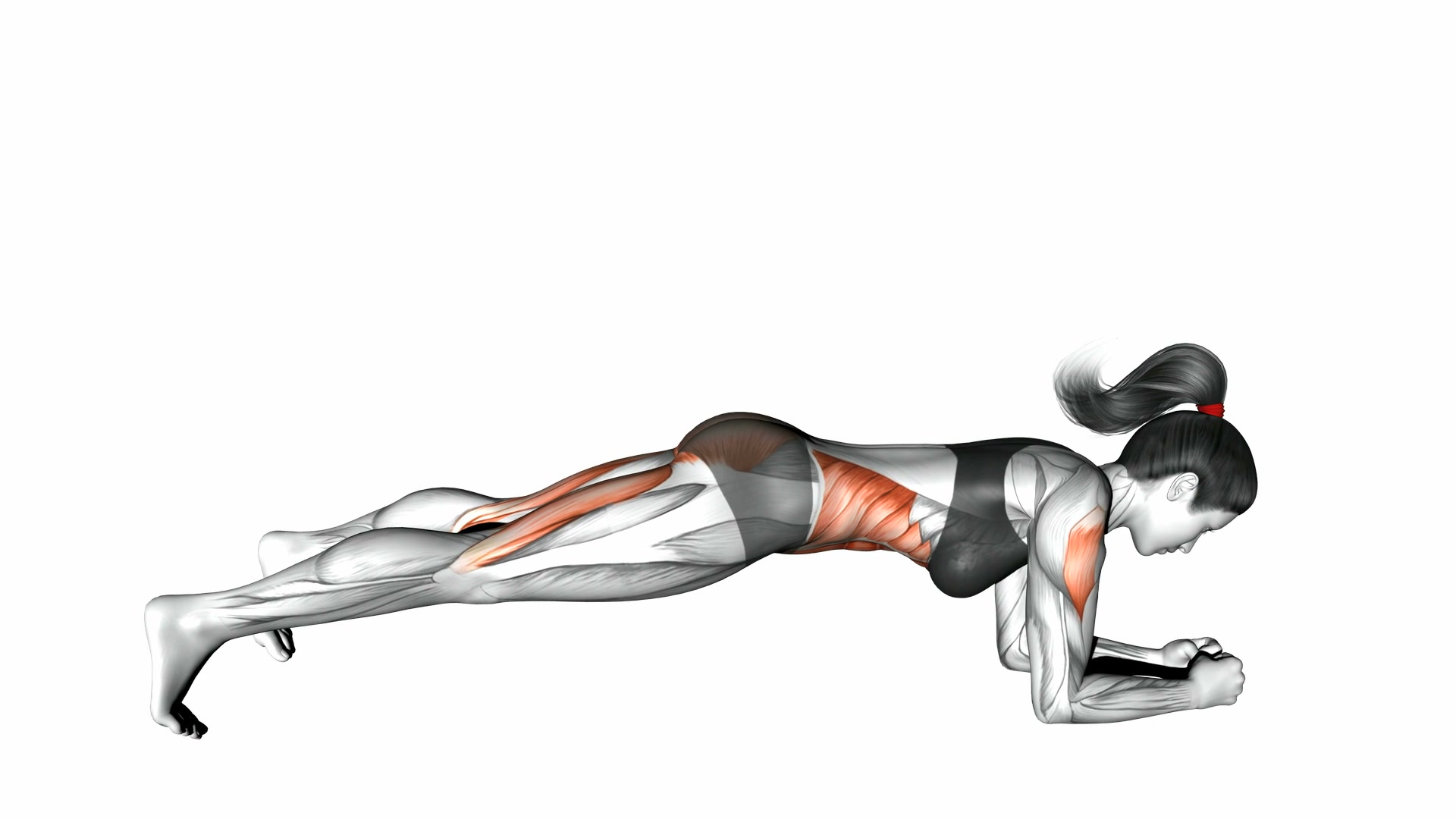 Glute Bridge demo