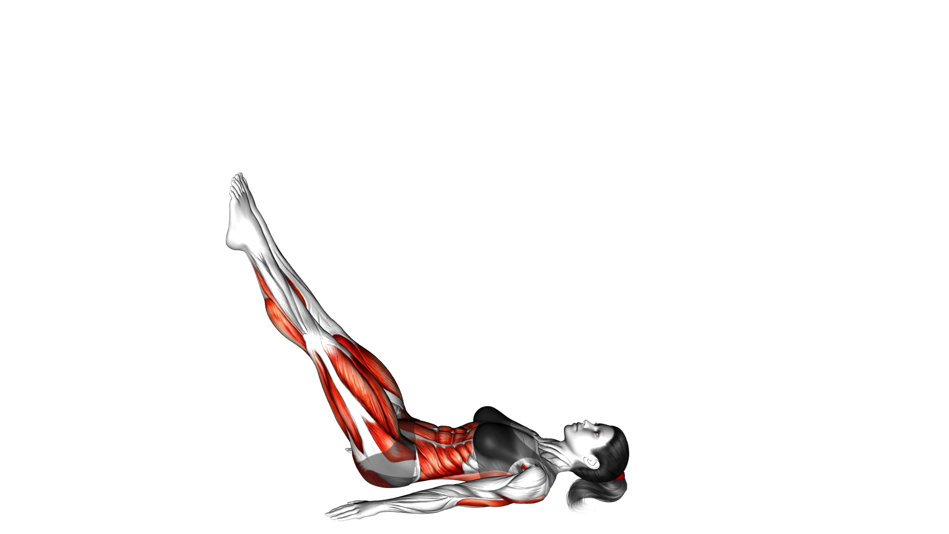 Jackknife demo