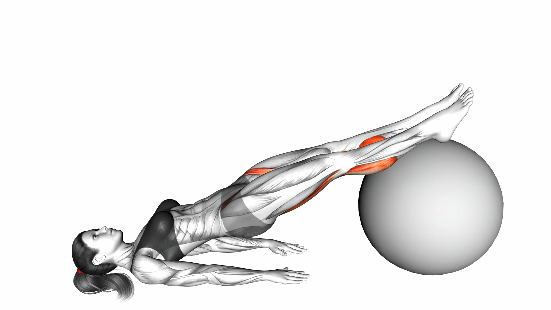 Stability Ball Leg Curl demo