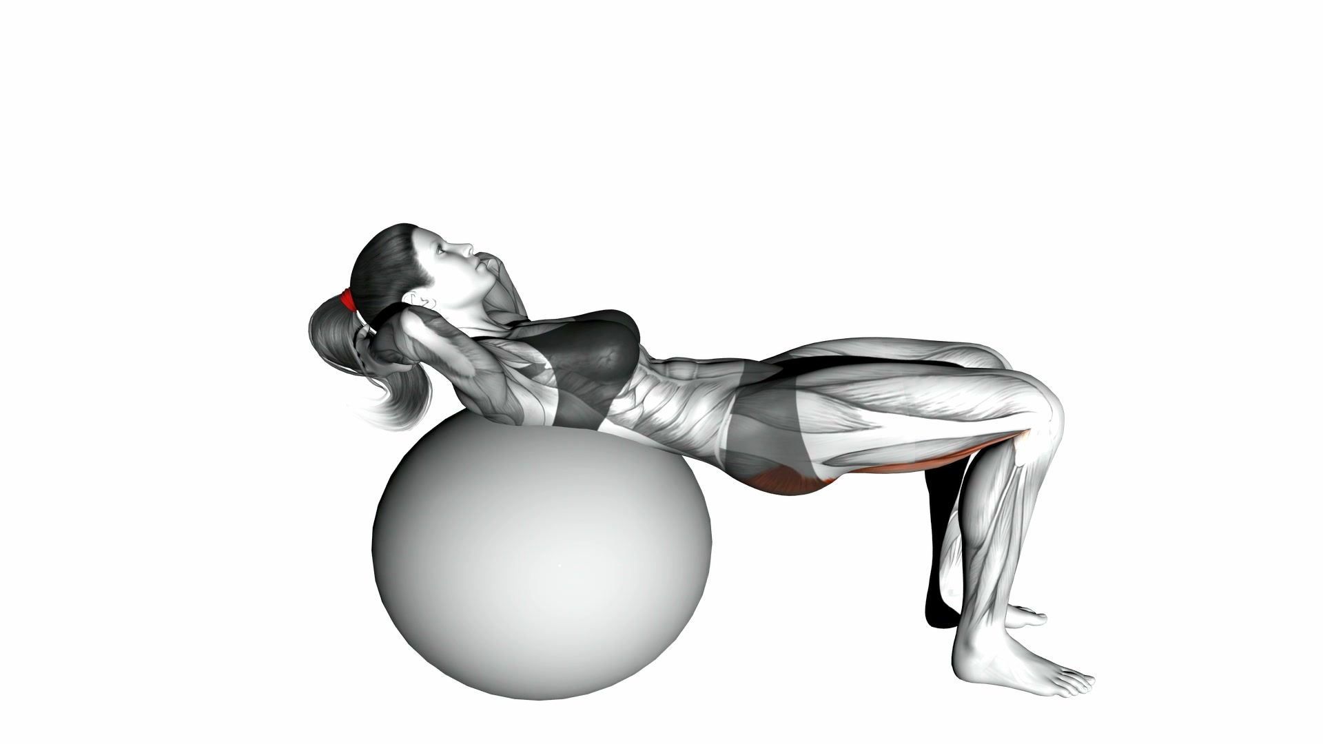 Lying Hip Lift on Stability Ball demo