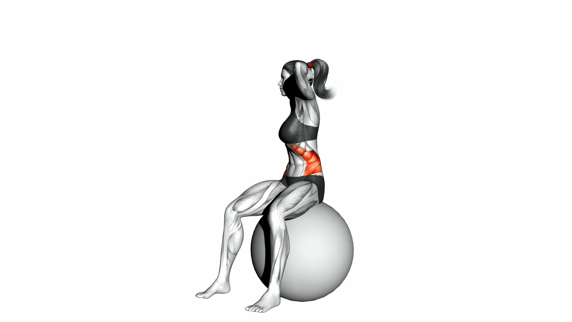 Seated Twist on Stability Ball demo