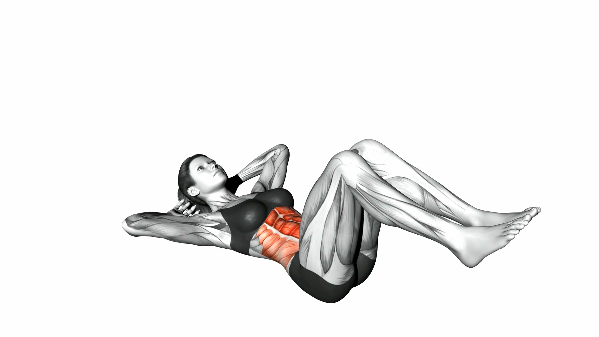 Sit-Up demo