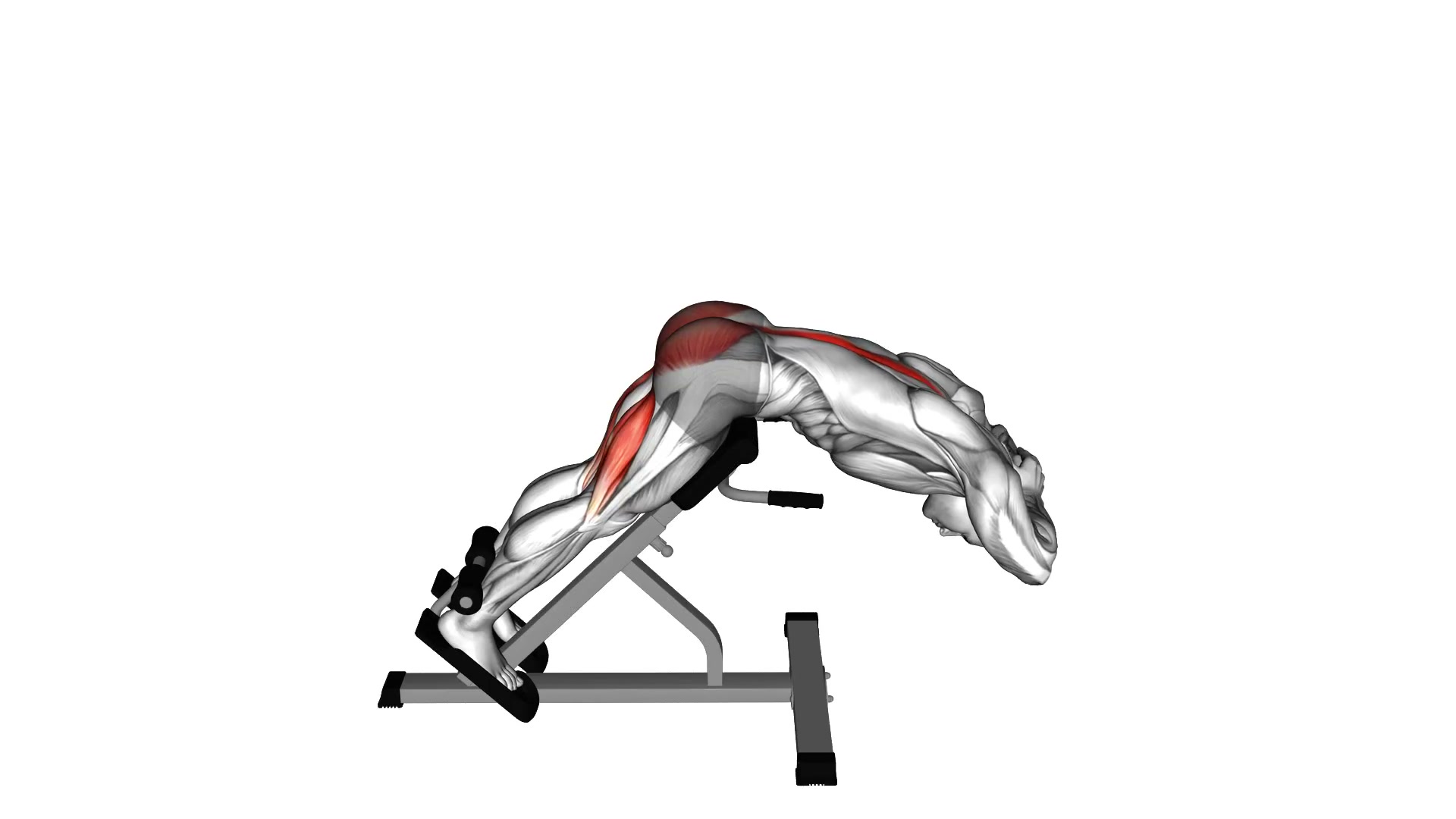 45 Degree Hyperextension