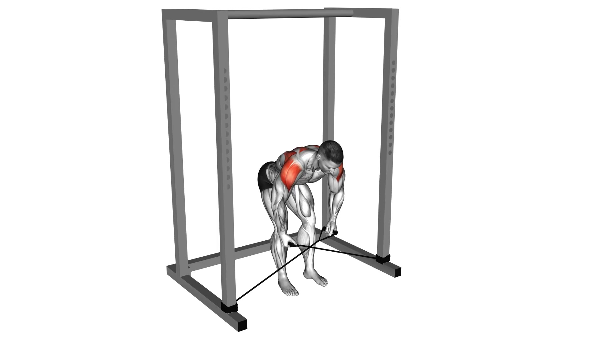 Band Bent-Over Rear Lateral Raise