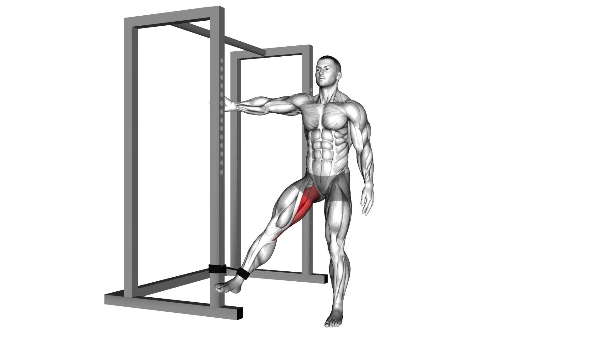 Band Hip Adduction demo