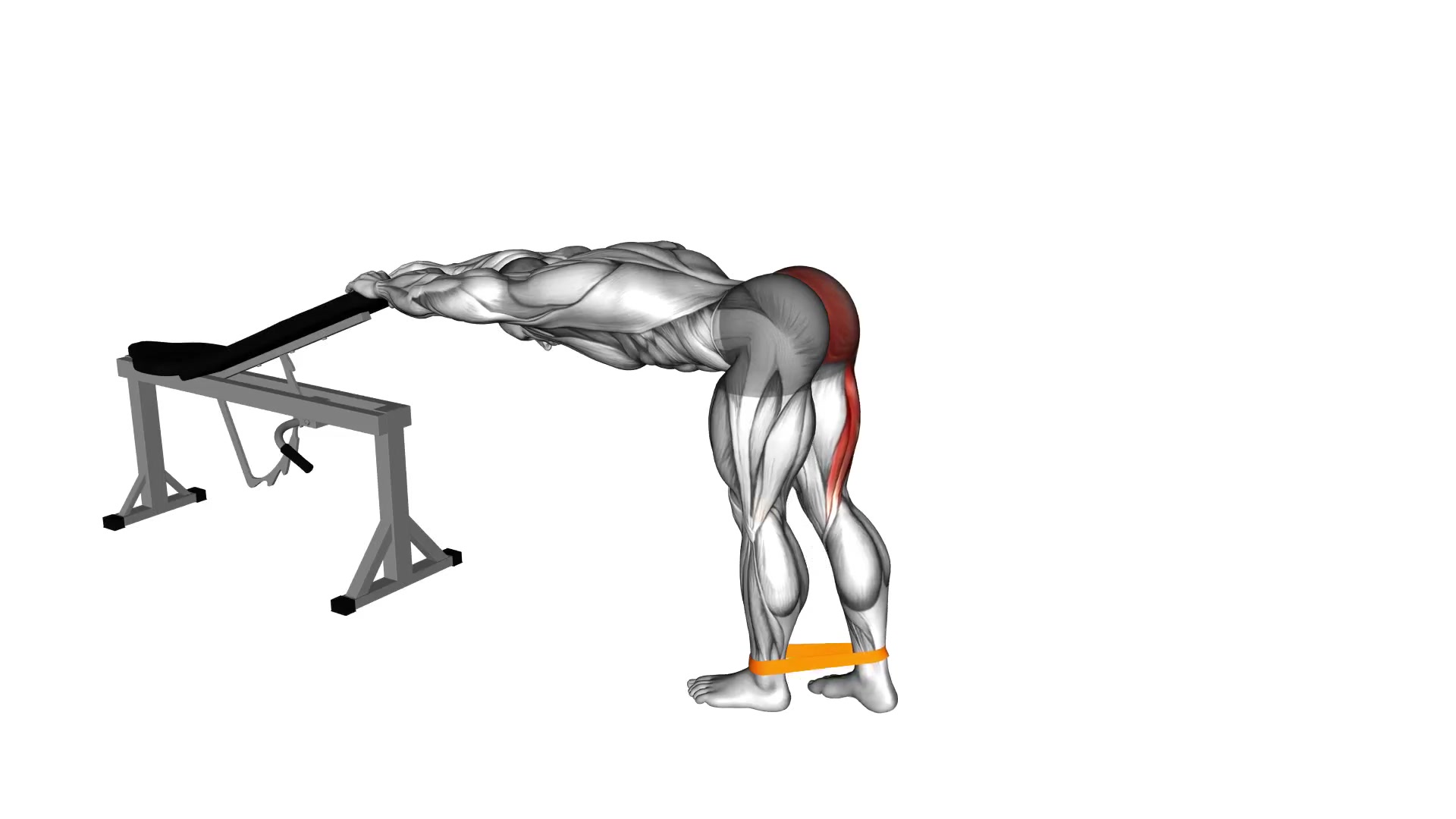 Band One-Leg Kickback (Bent Position)