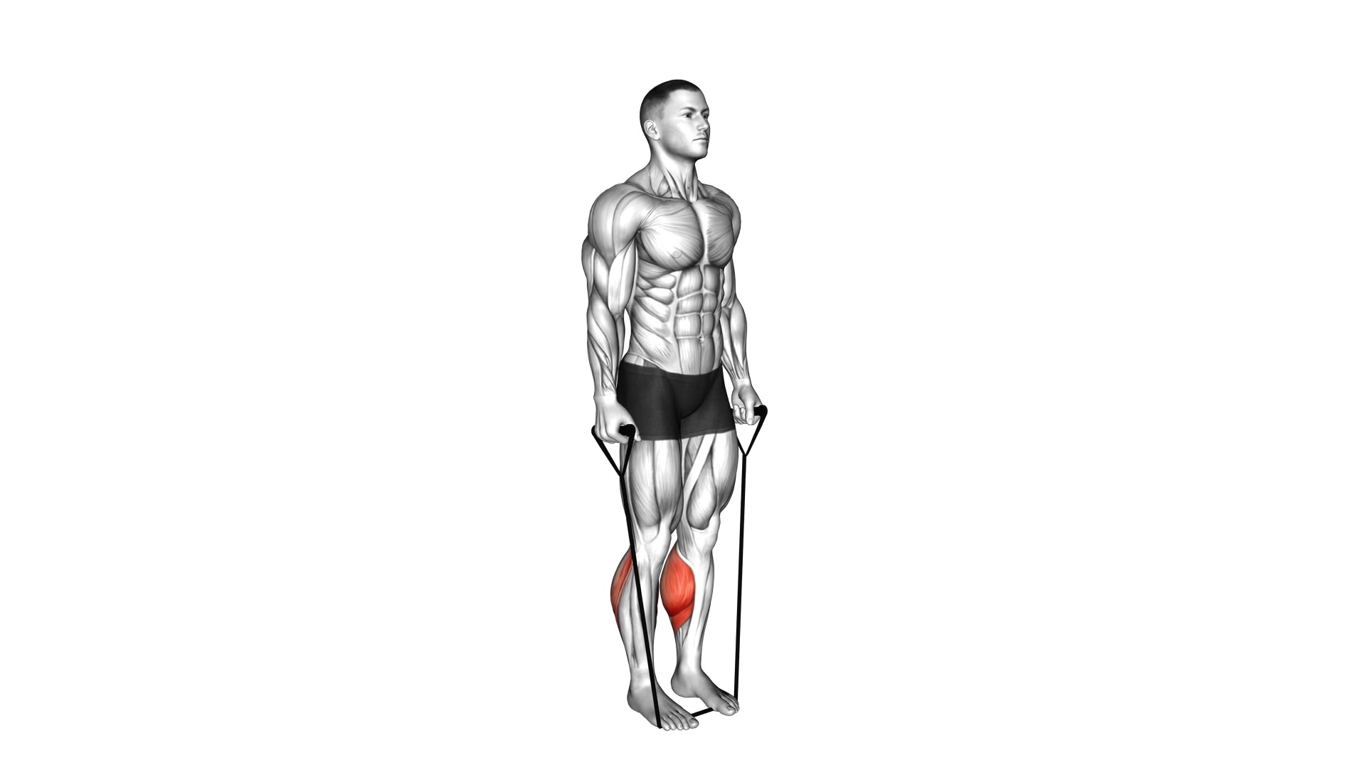 Band Standing Calf Raise demo