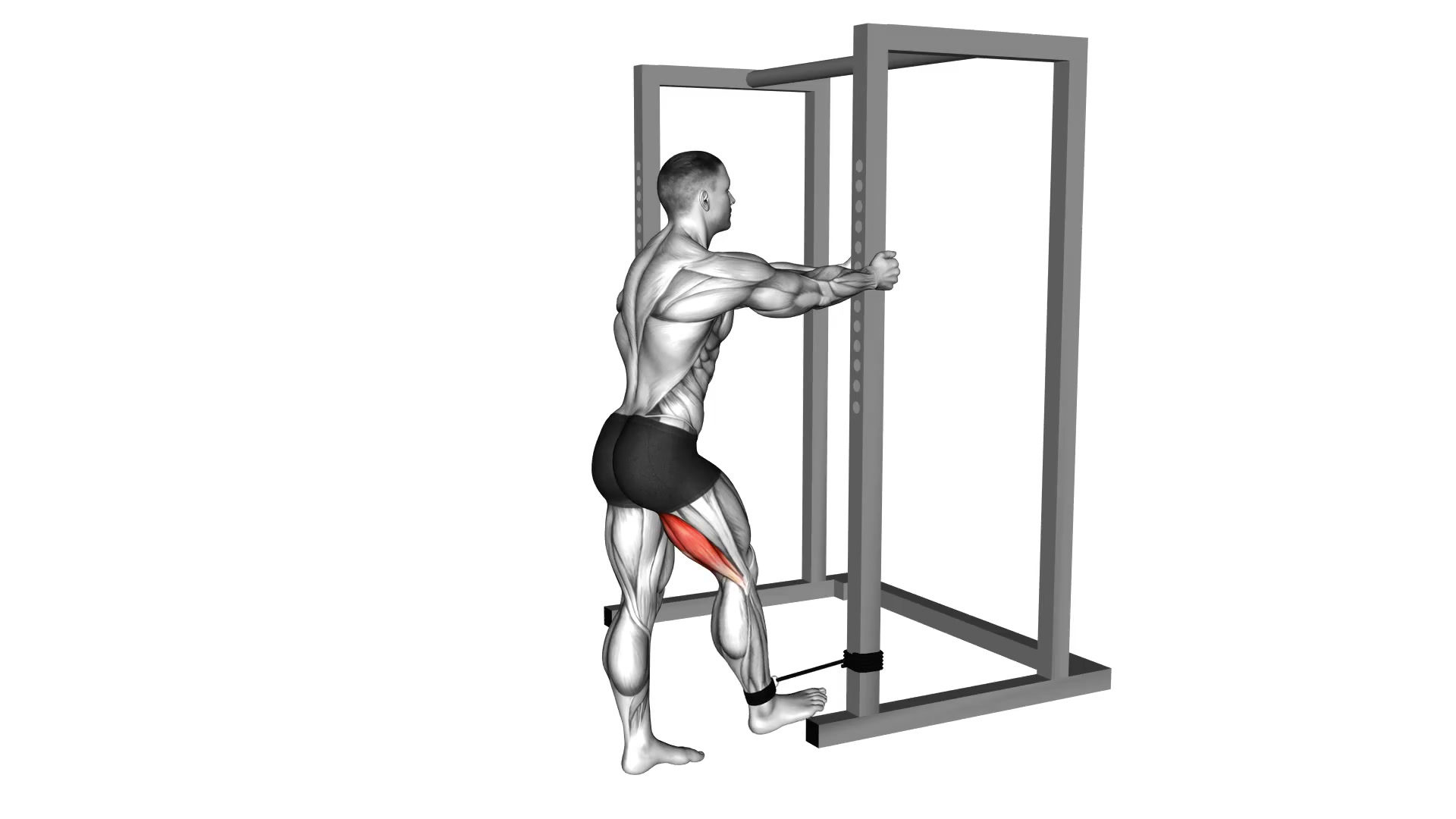 Band Standing Leg Curl demo