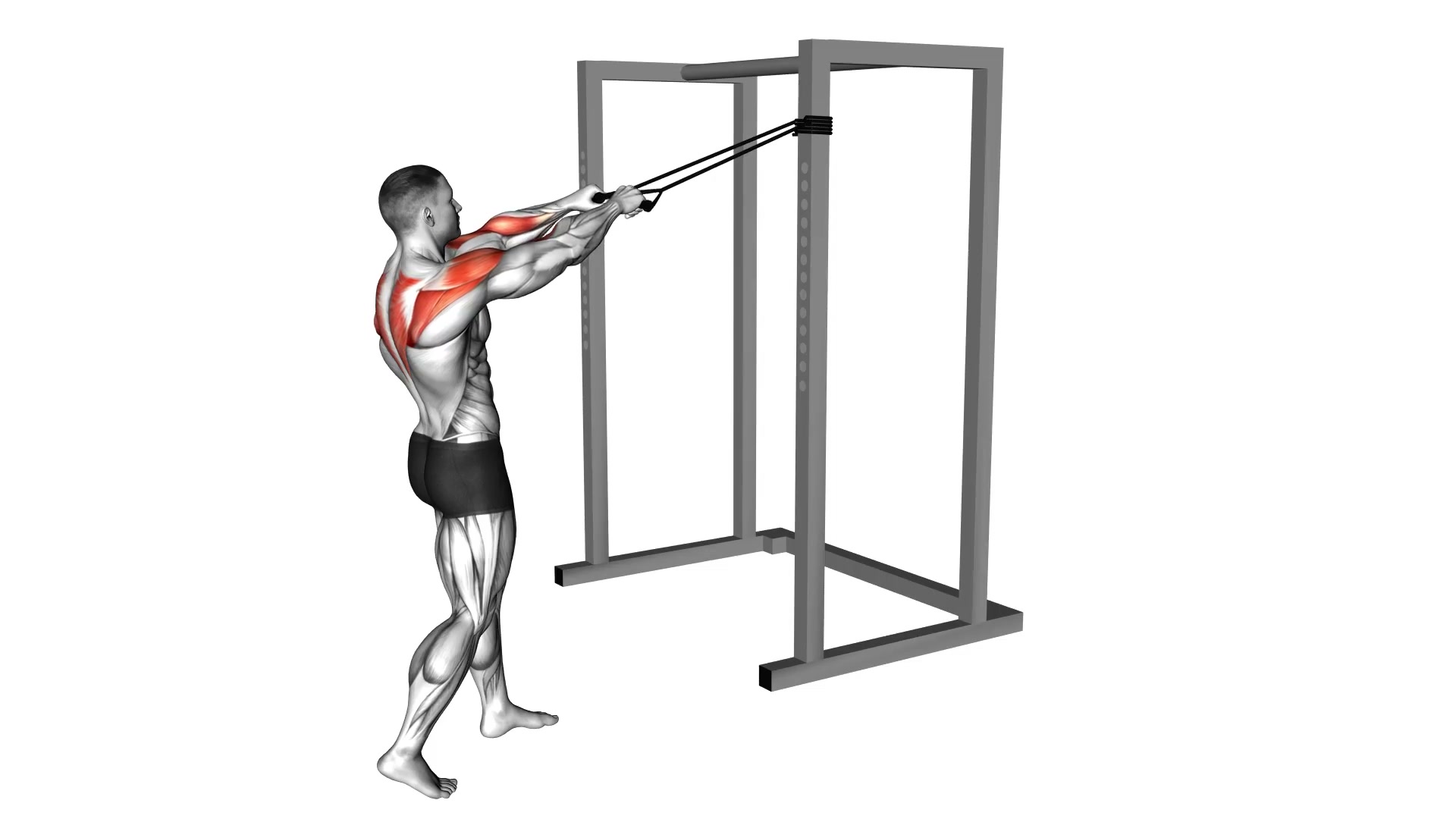 Band Standing Rear Delt Row