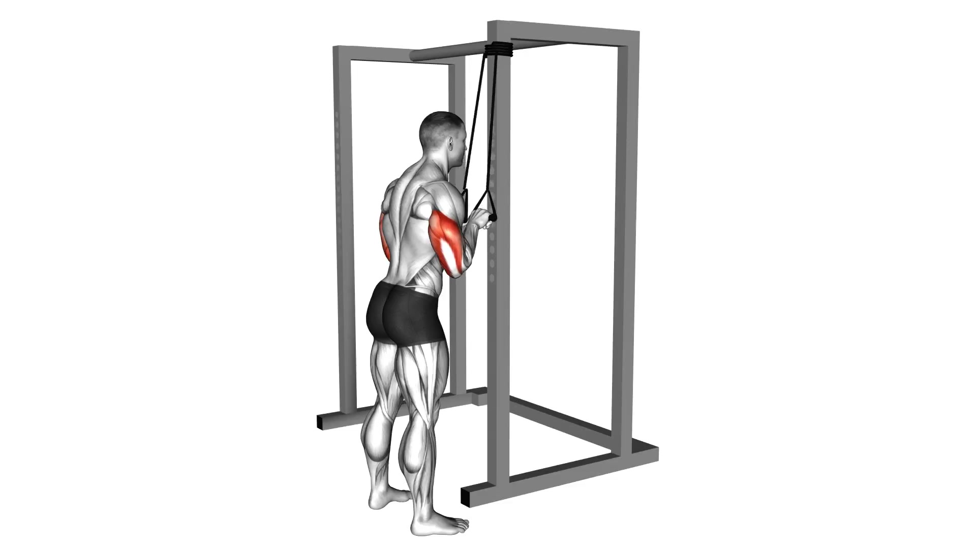 Band Triceps Pushdown demo