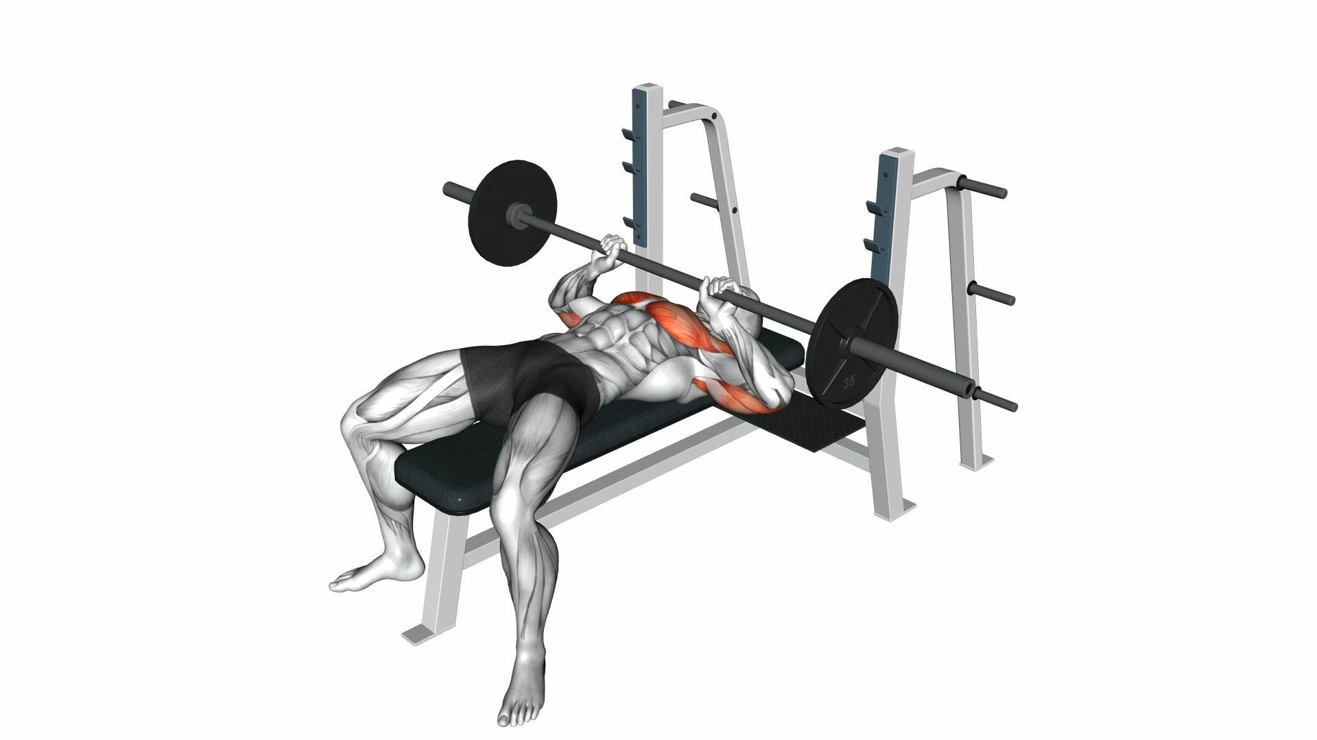 Barbell Close Grip Bench Press demo