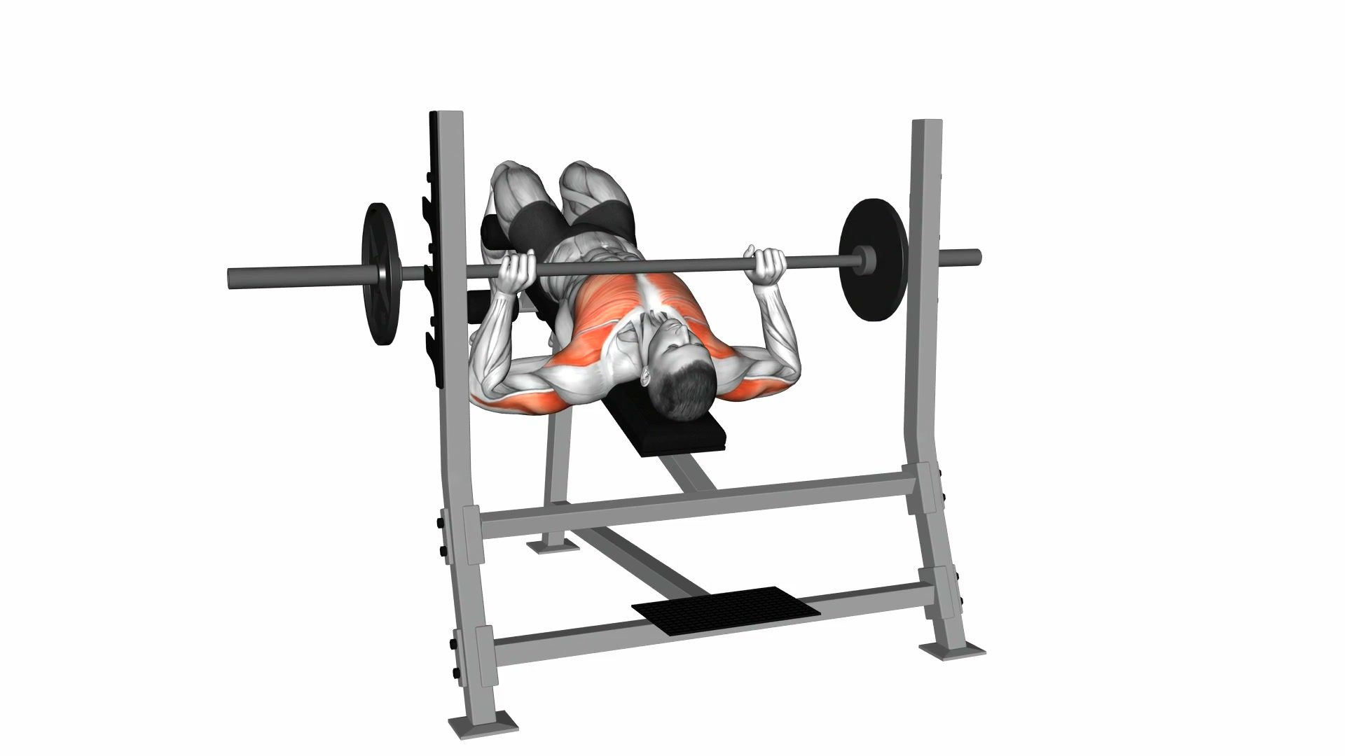 Barbell Decline Bench Press