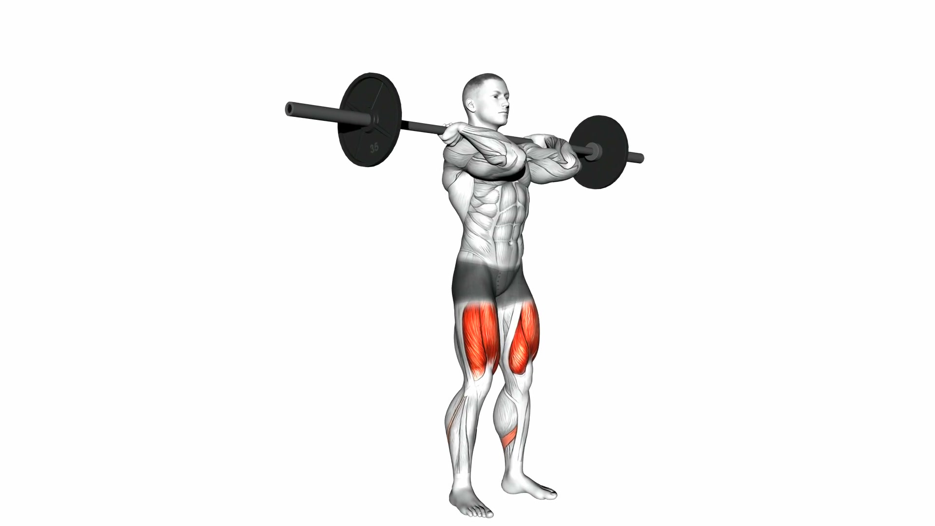 Barbell Front Squat demo