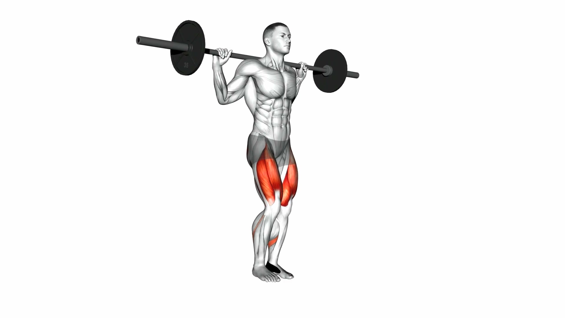 Barbell Lunge demo