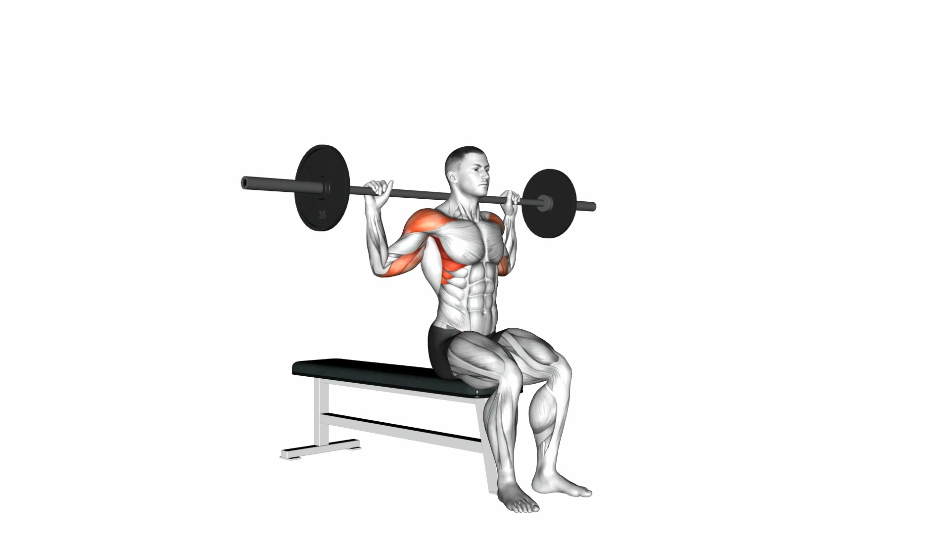 Barbell Seated Behind-The-Neck Press demo