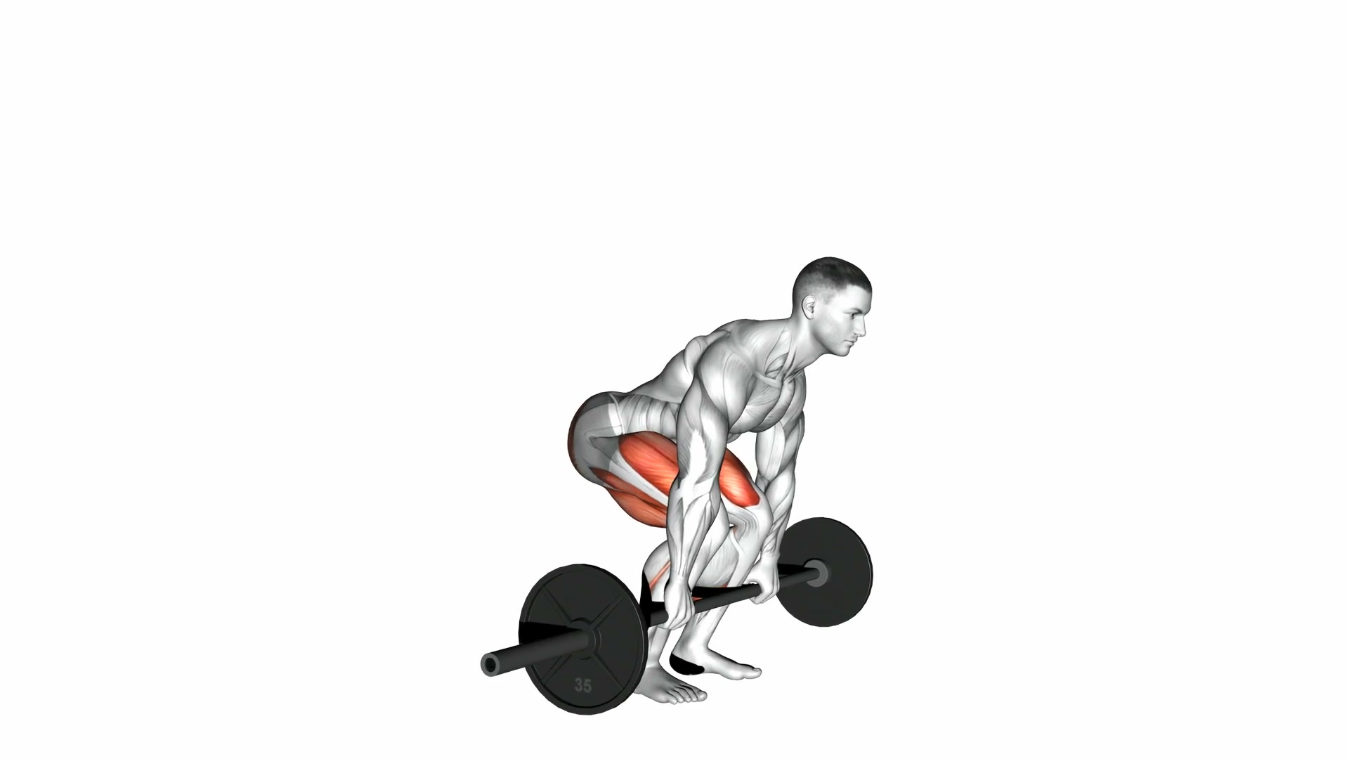 Barbell Straight Leg Deadlift demo