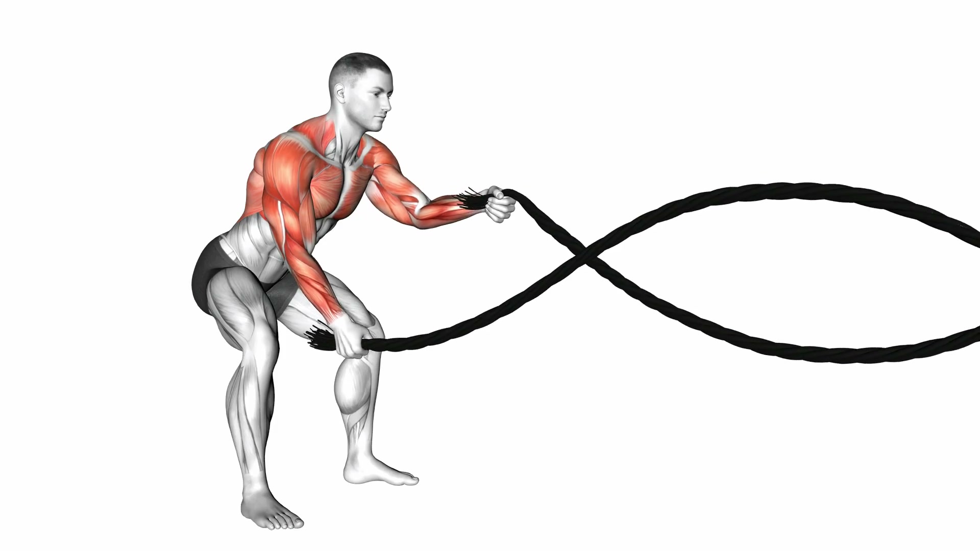 Battling Ropes demo