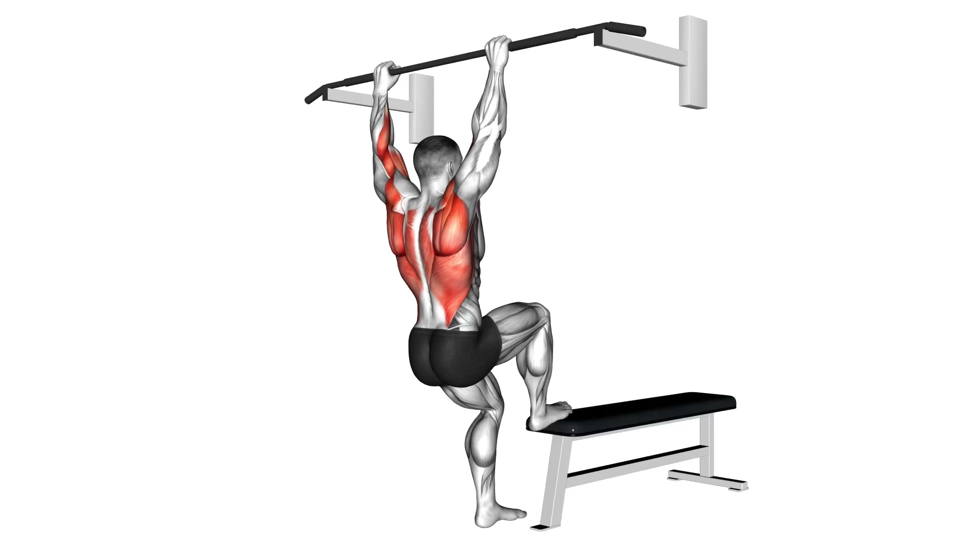 Bench Pull-Up demo
