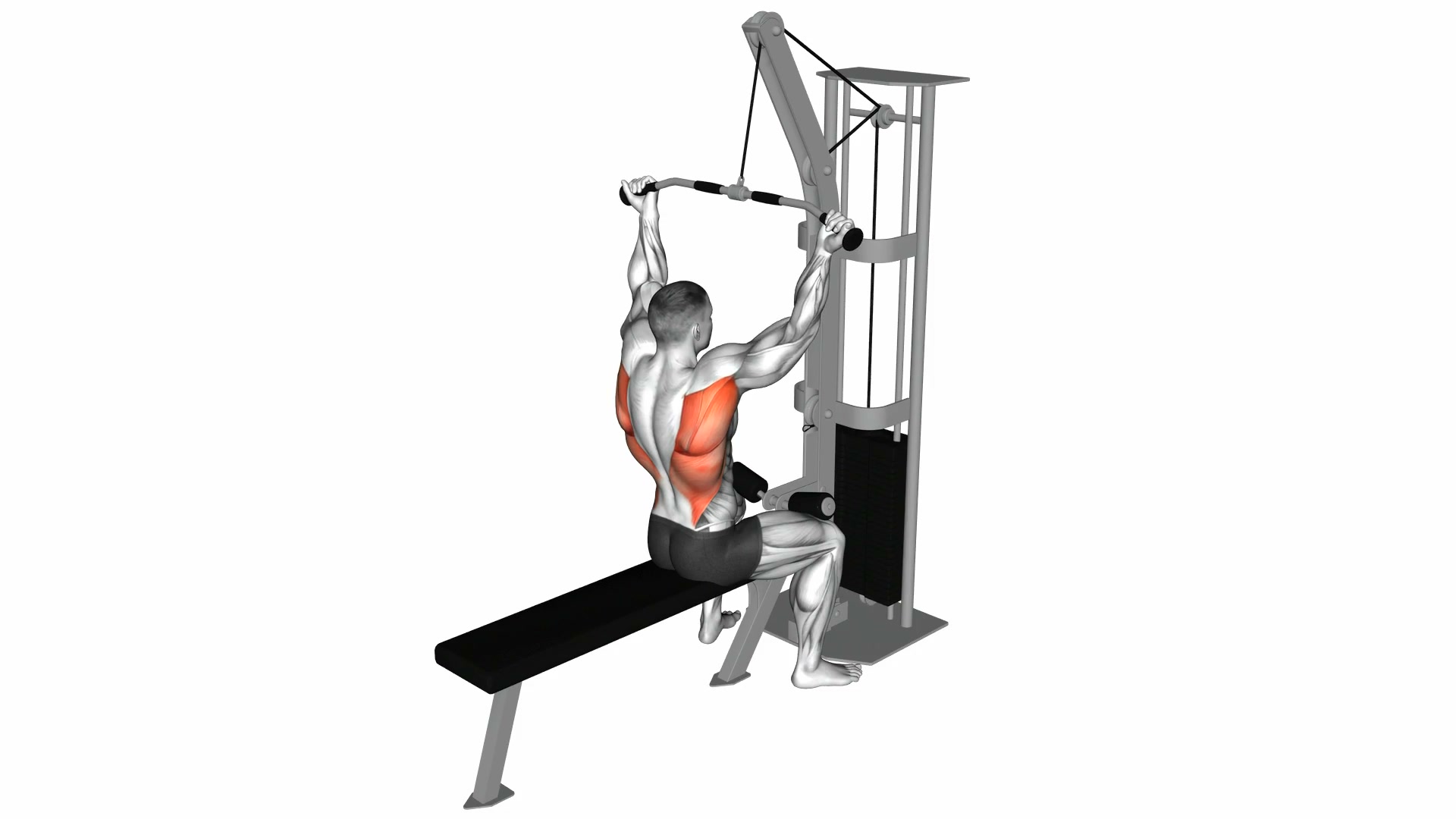 Reverse-Grip Cable Lat Pulldown demo