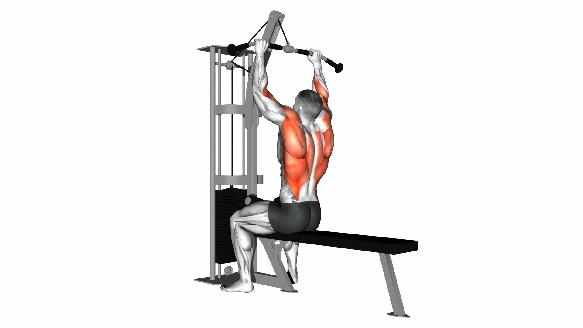 Wide Grip Cable Lat Pulldown demo