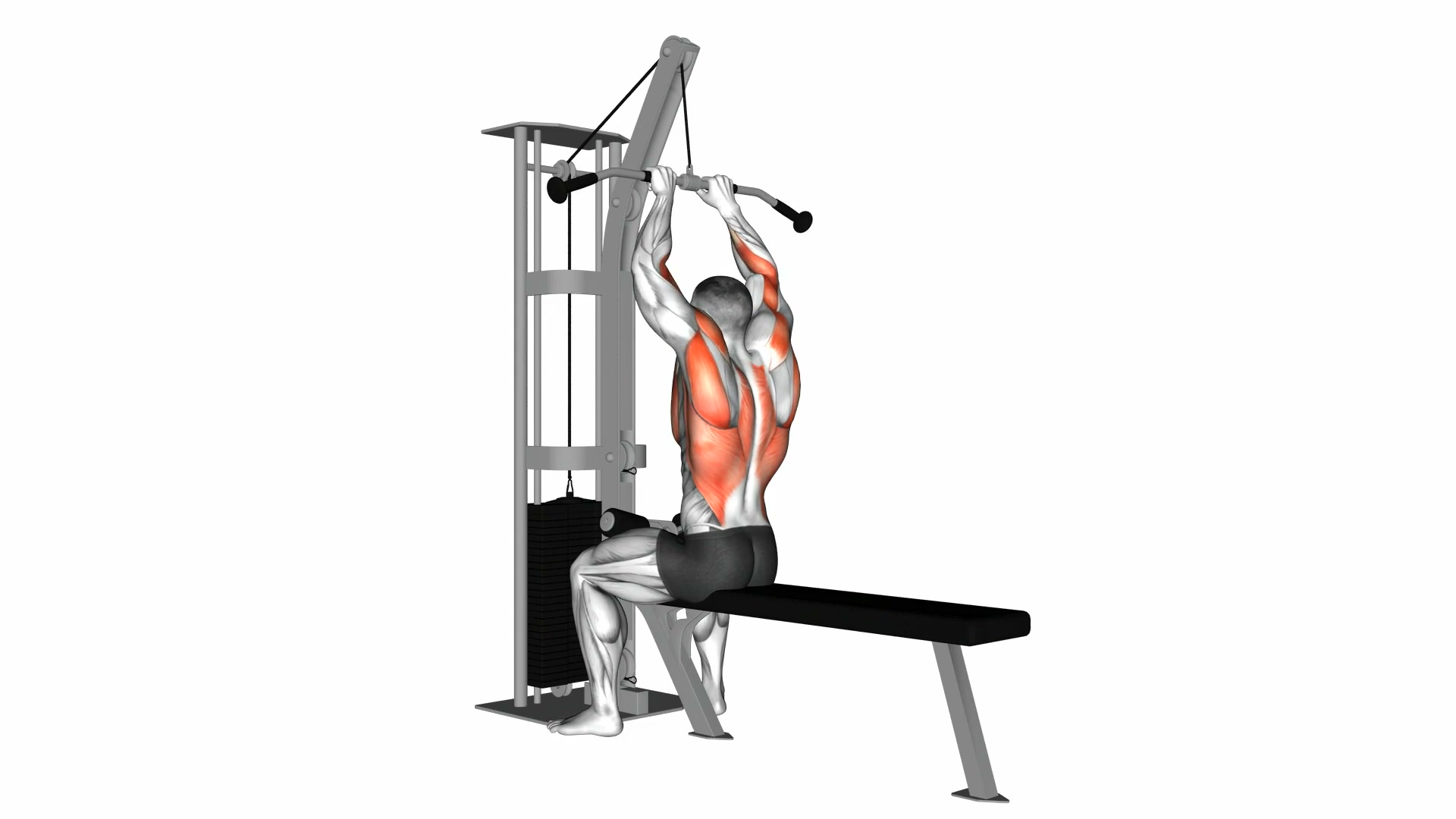 Cable Close Grip Lat Pulldown demo
