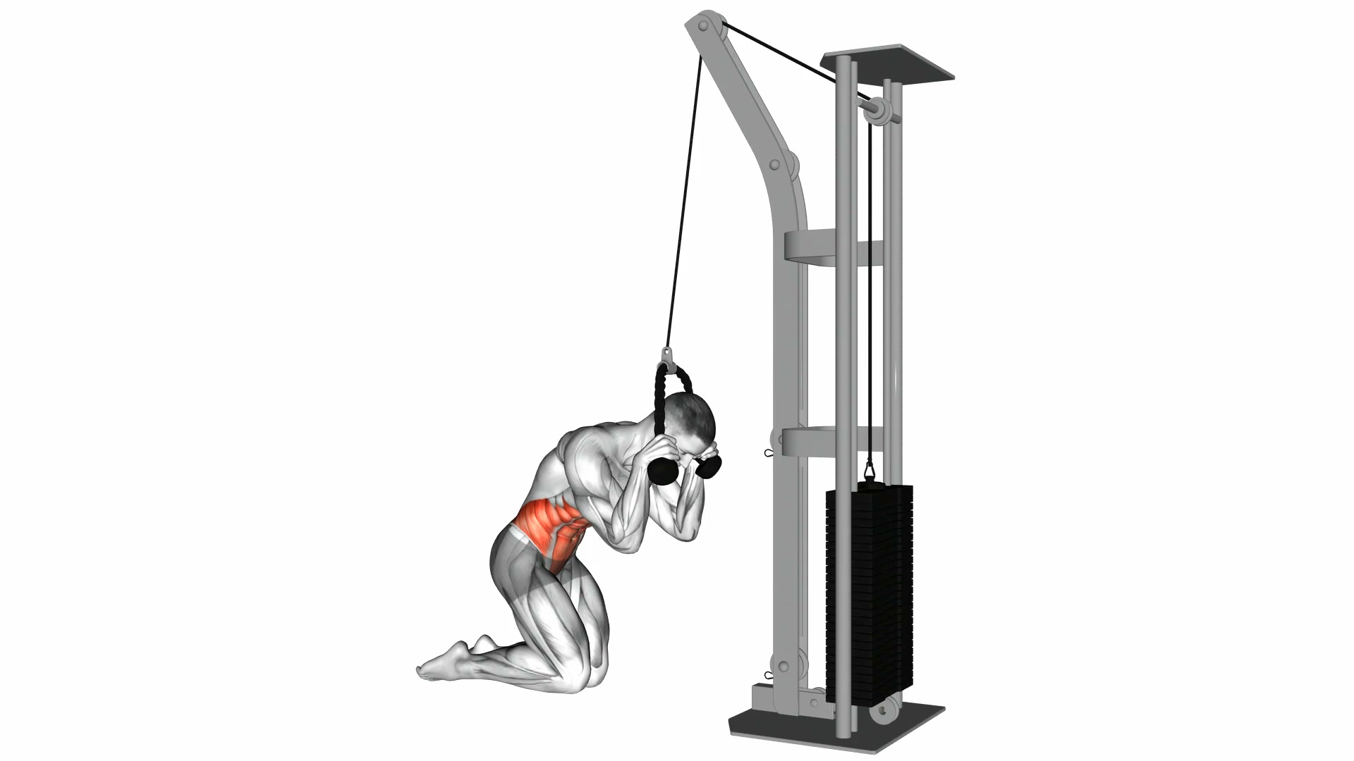 Cable Kneeling Crunch demo