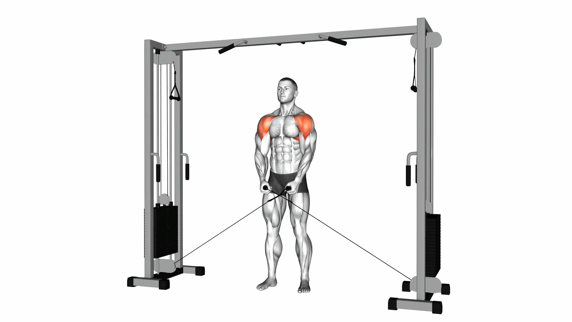 Cable Lateral Raise demo