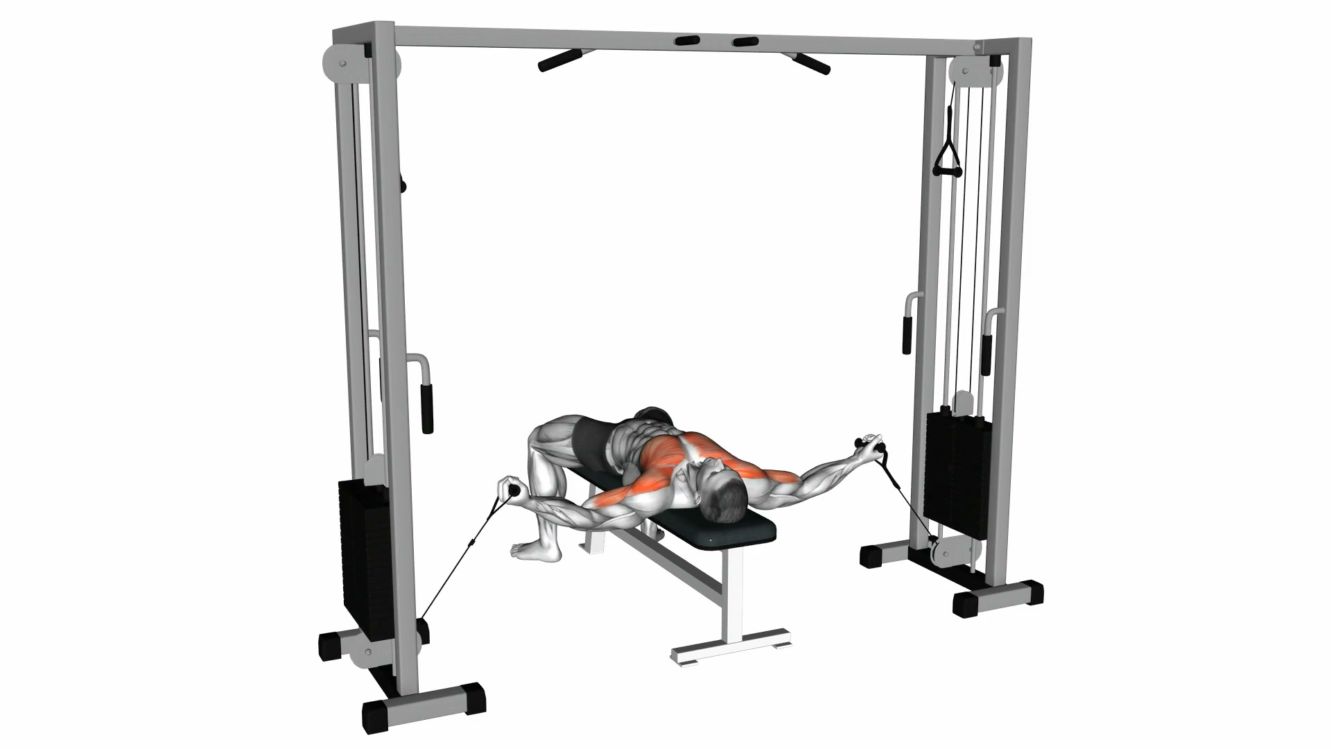 Flat Bench Cable Fly demo