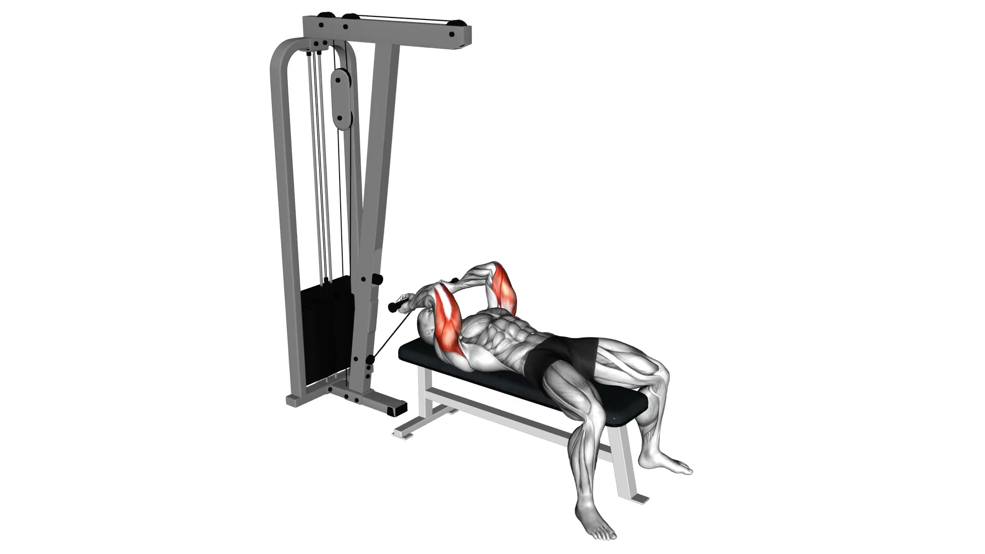 Cable Lying Triceps Extension demo