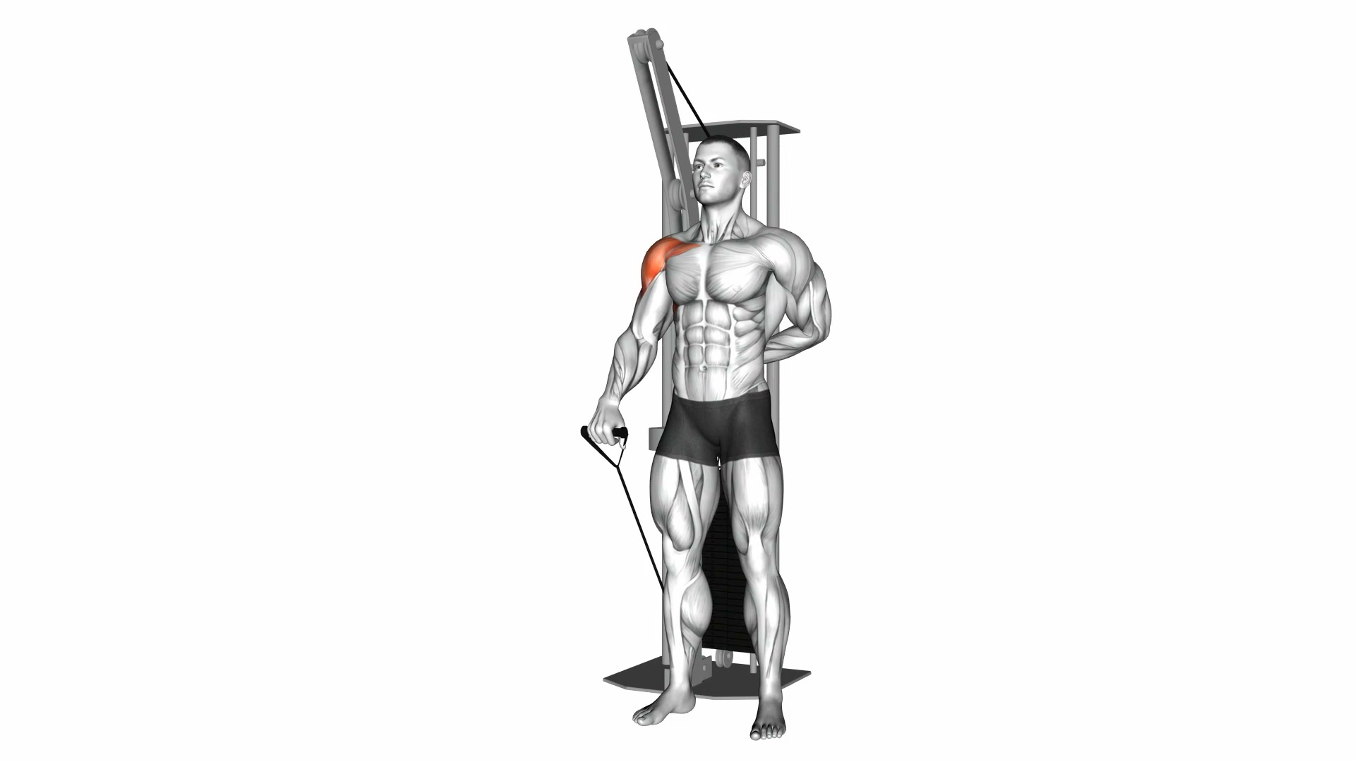 Cable One Arm Front Raise demo