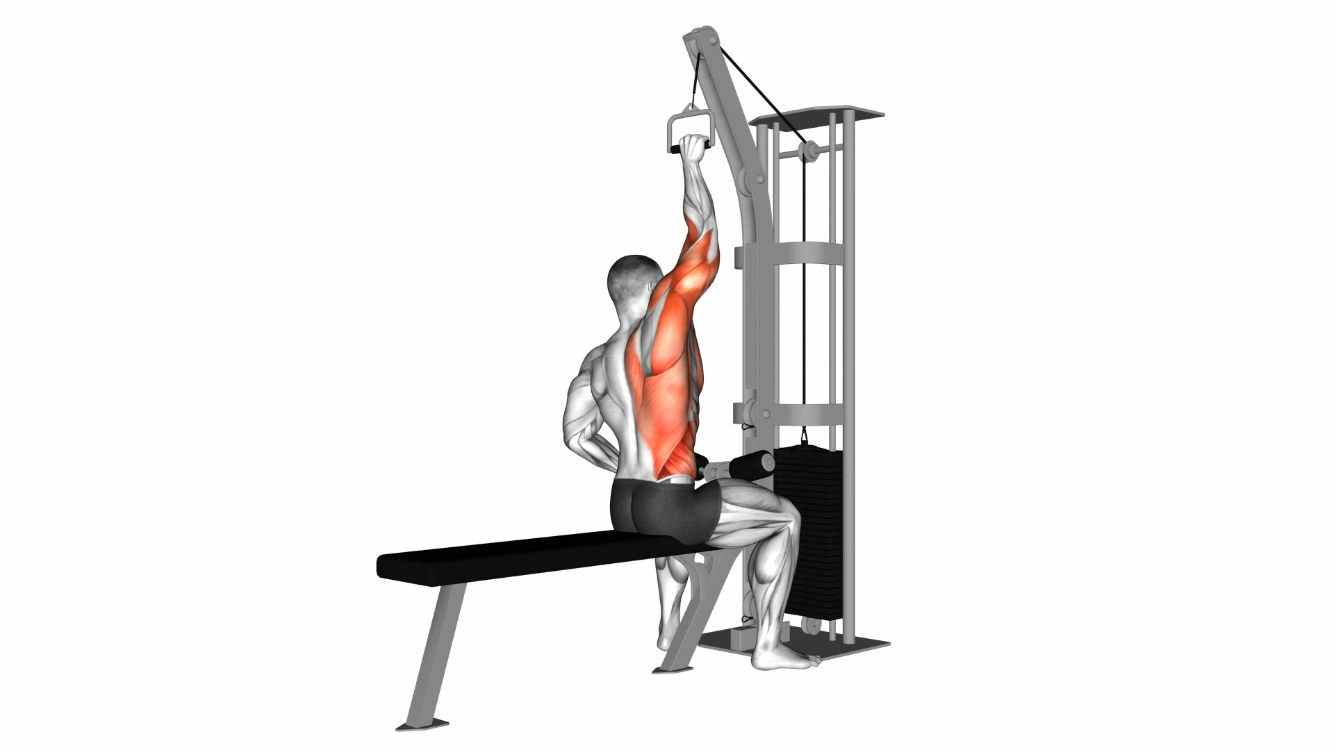 Cable One Arm Lateral Pulldown demo