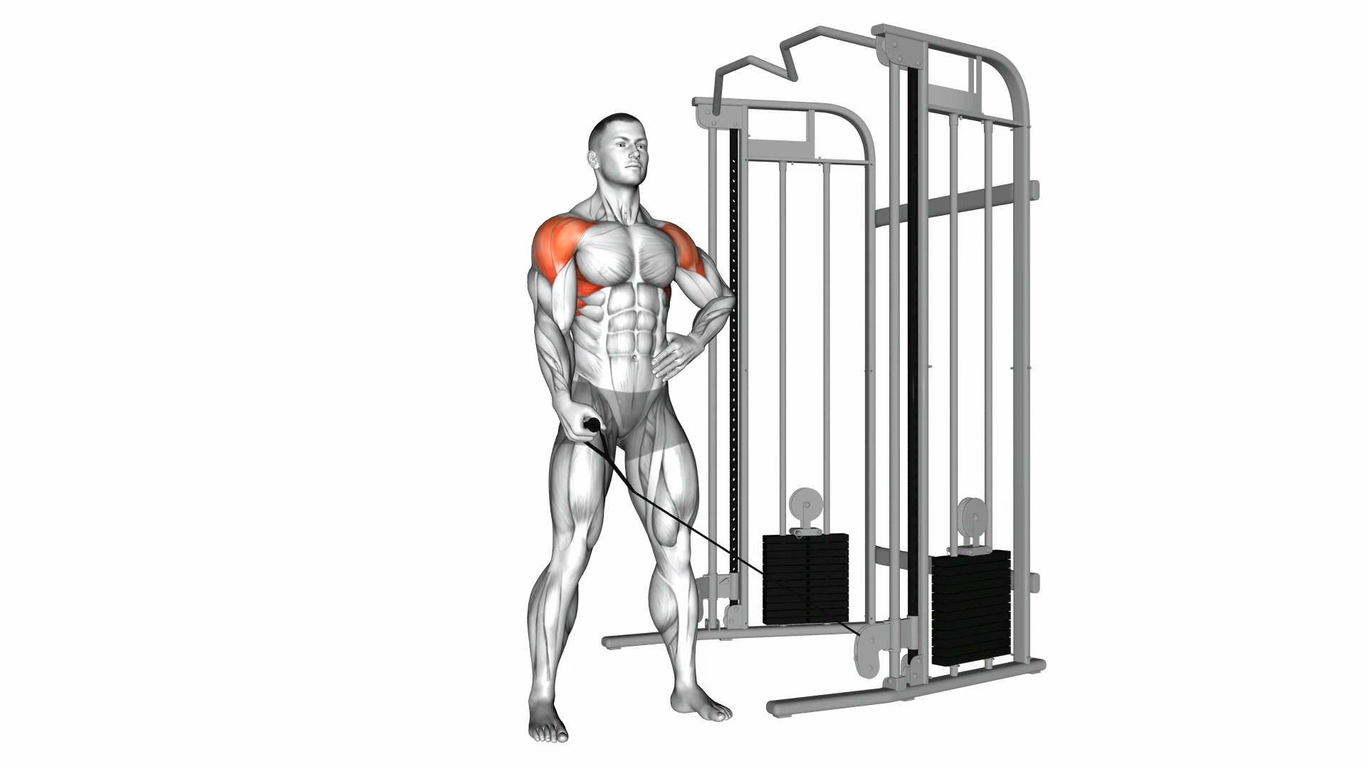 Cable One Arm Lateral Raise demo