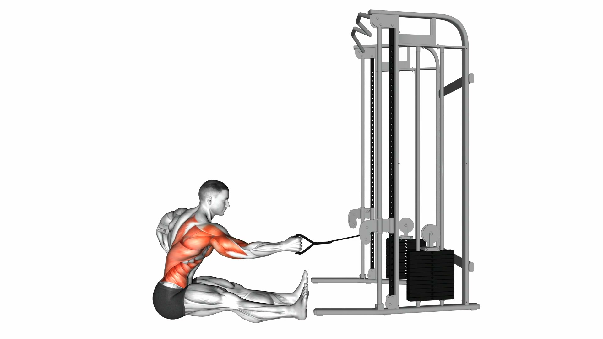 Cable One-Arm Twisting Seated Row demo