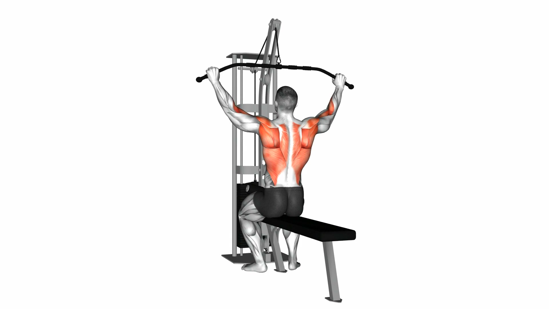 Cable Pulldown demo