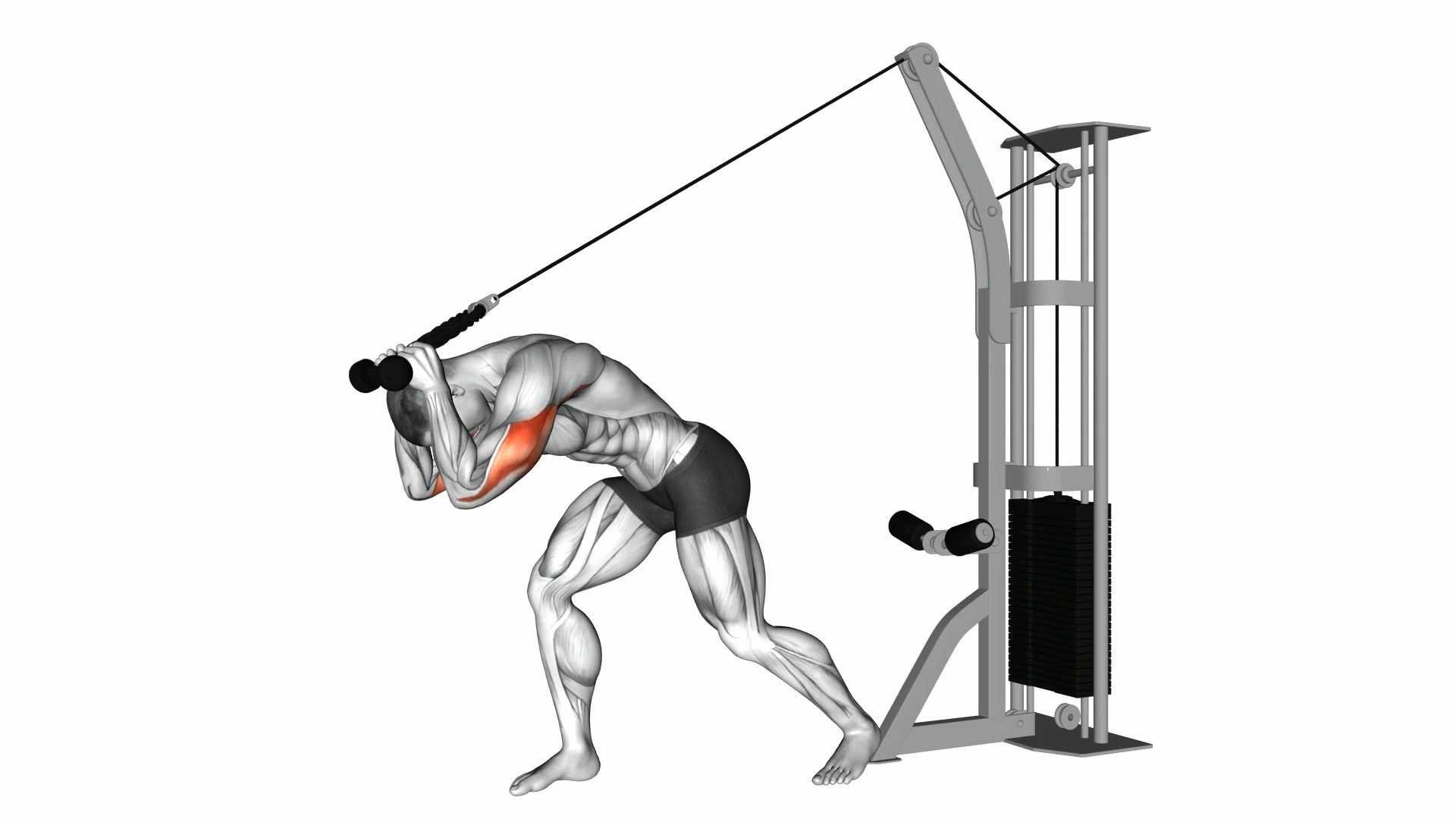 Cable Rope Overhead Triceps Extension demo