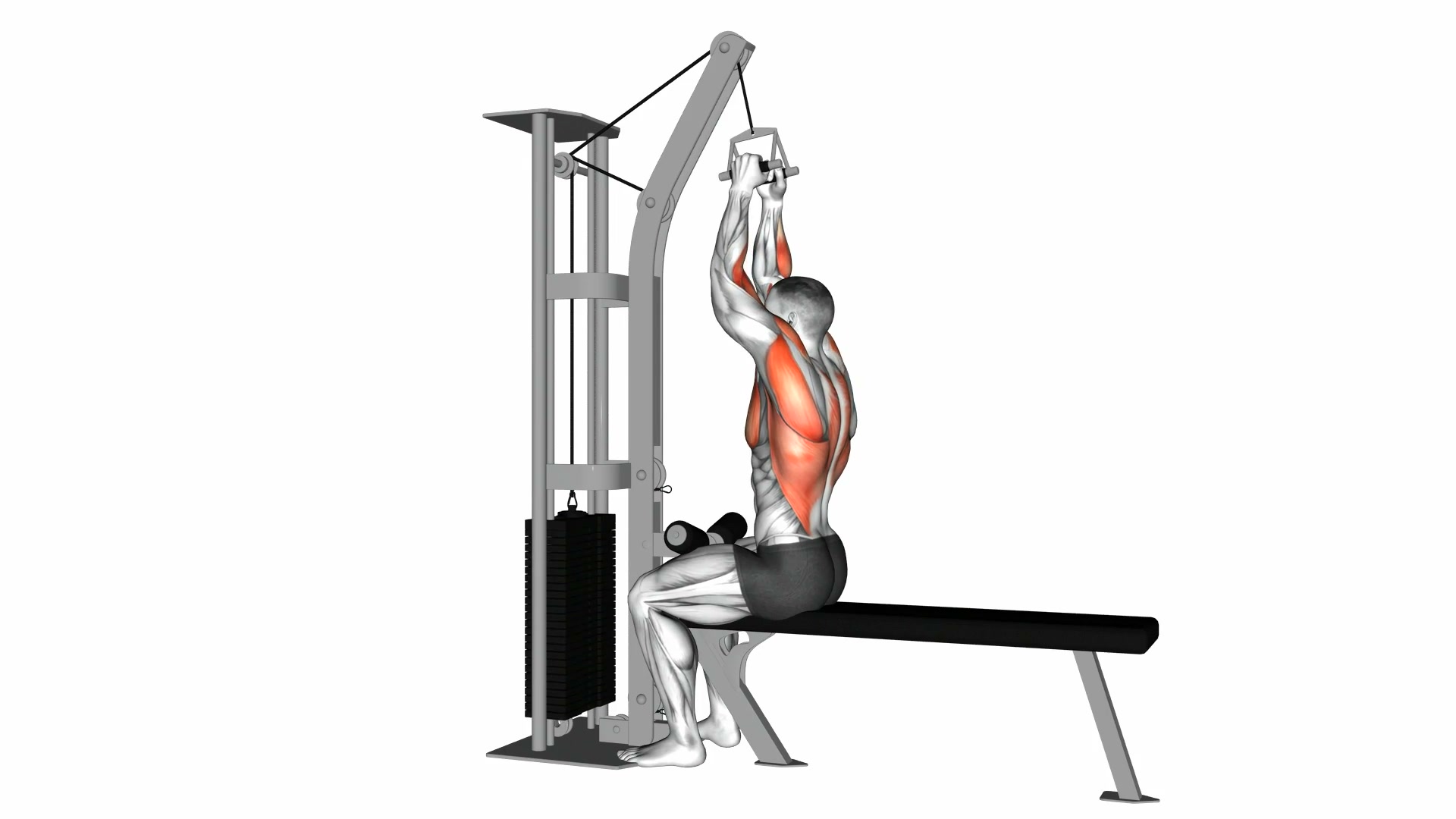 Cable Seated High Row (V-bar) demo