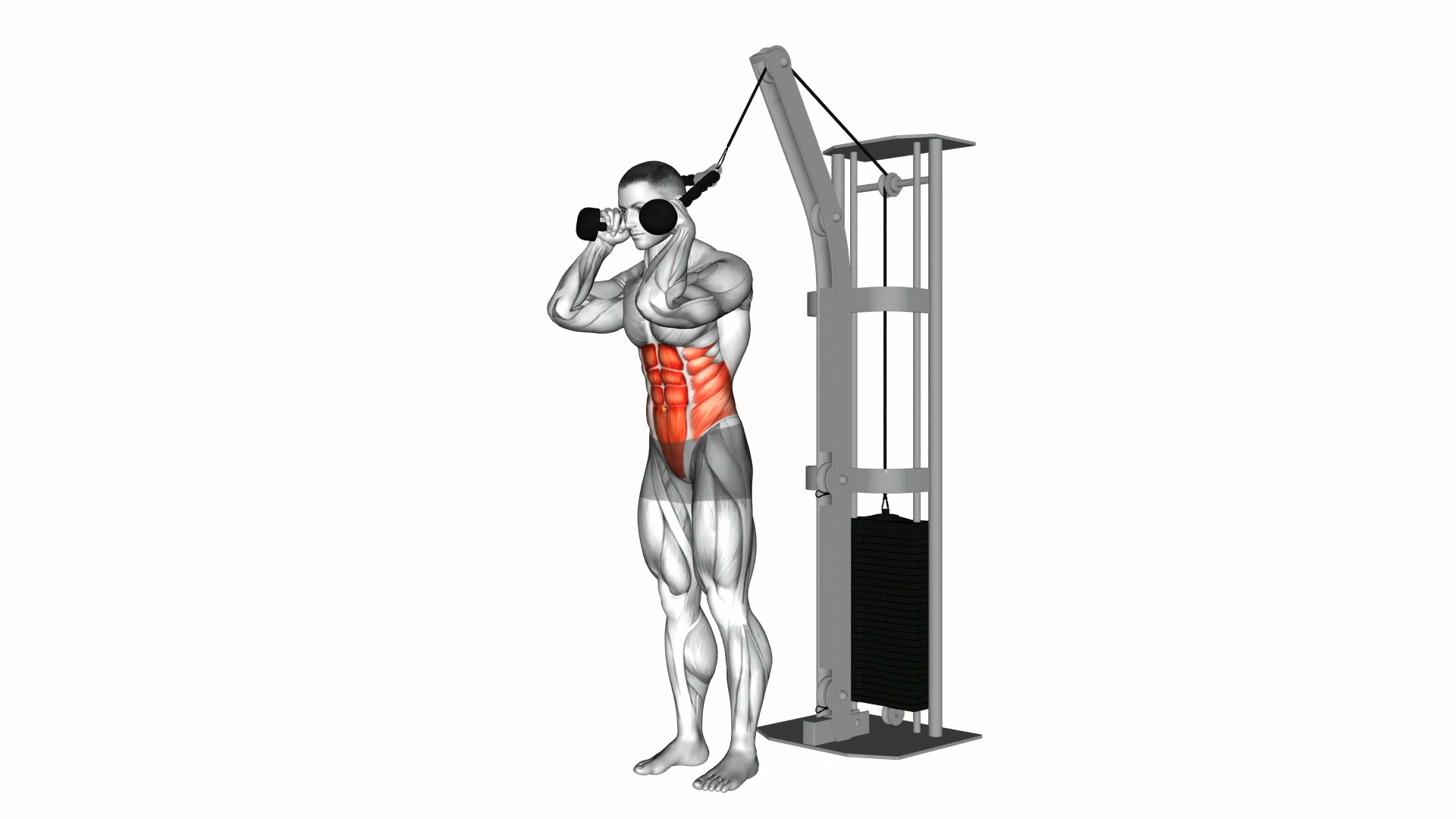 Cable Standing Crunch demo