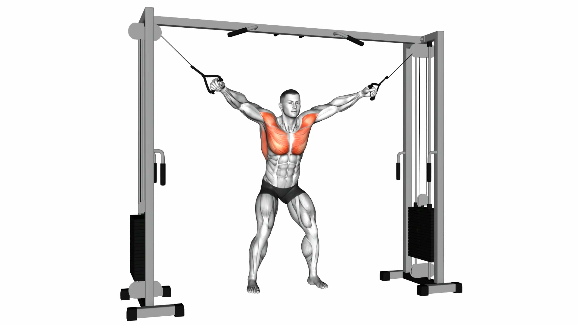 Cable Standing Fly demo