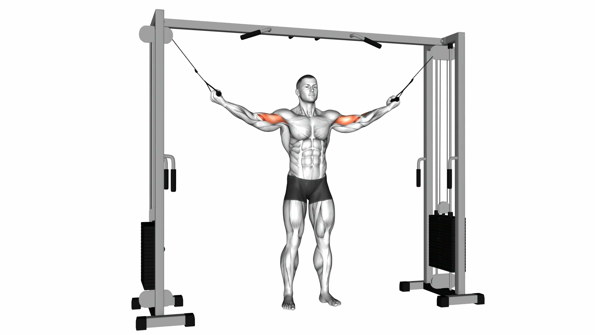 Cable Standing Inner Curl demo