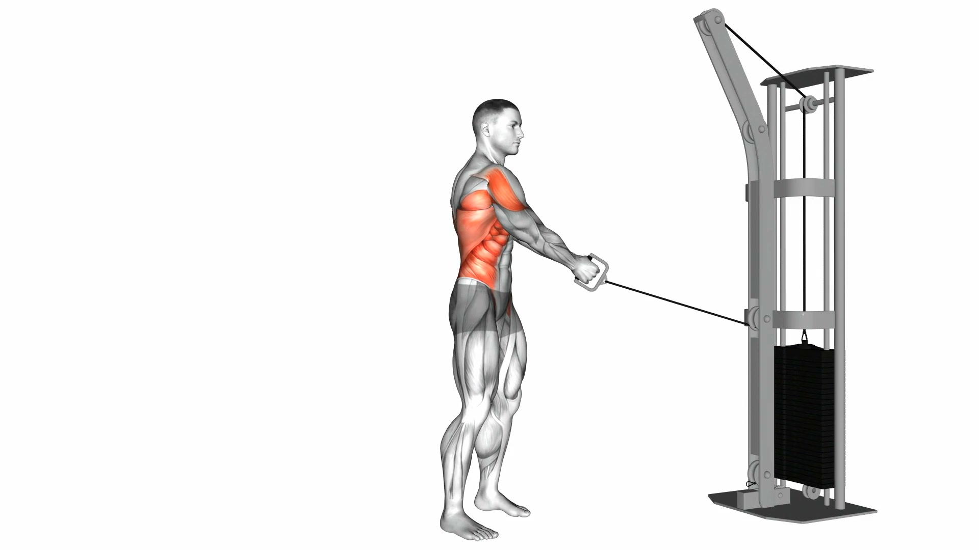 Cable Standing Lift demo