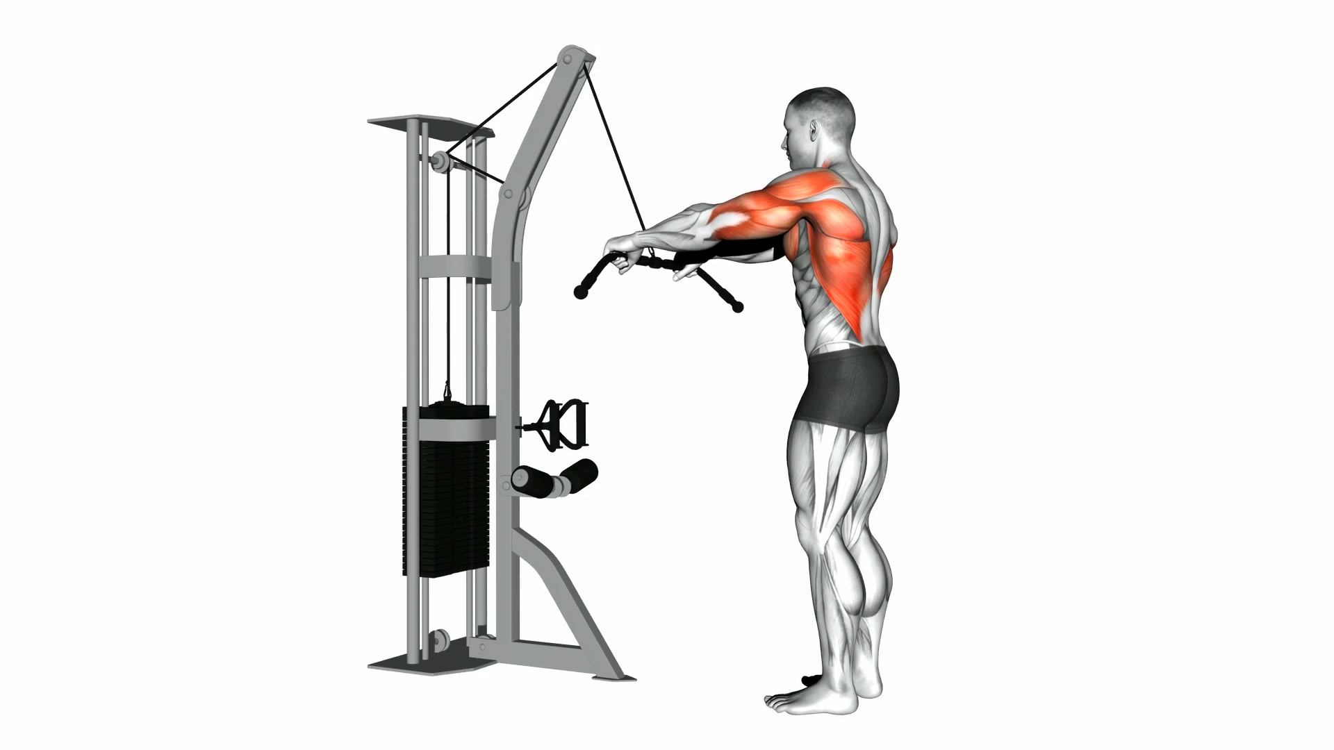 Cable Straight Arm Pulldown demo