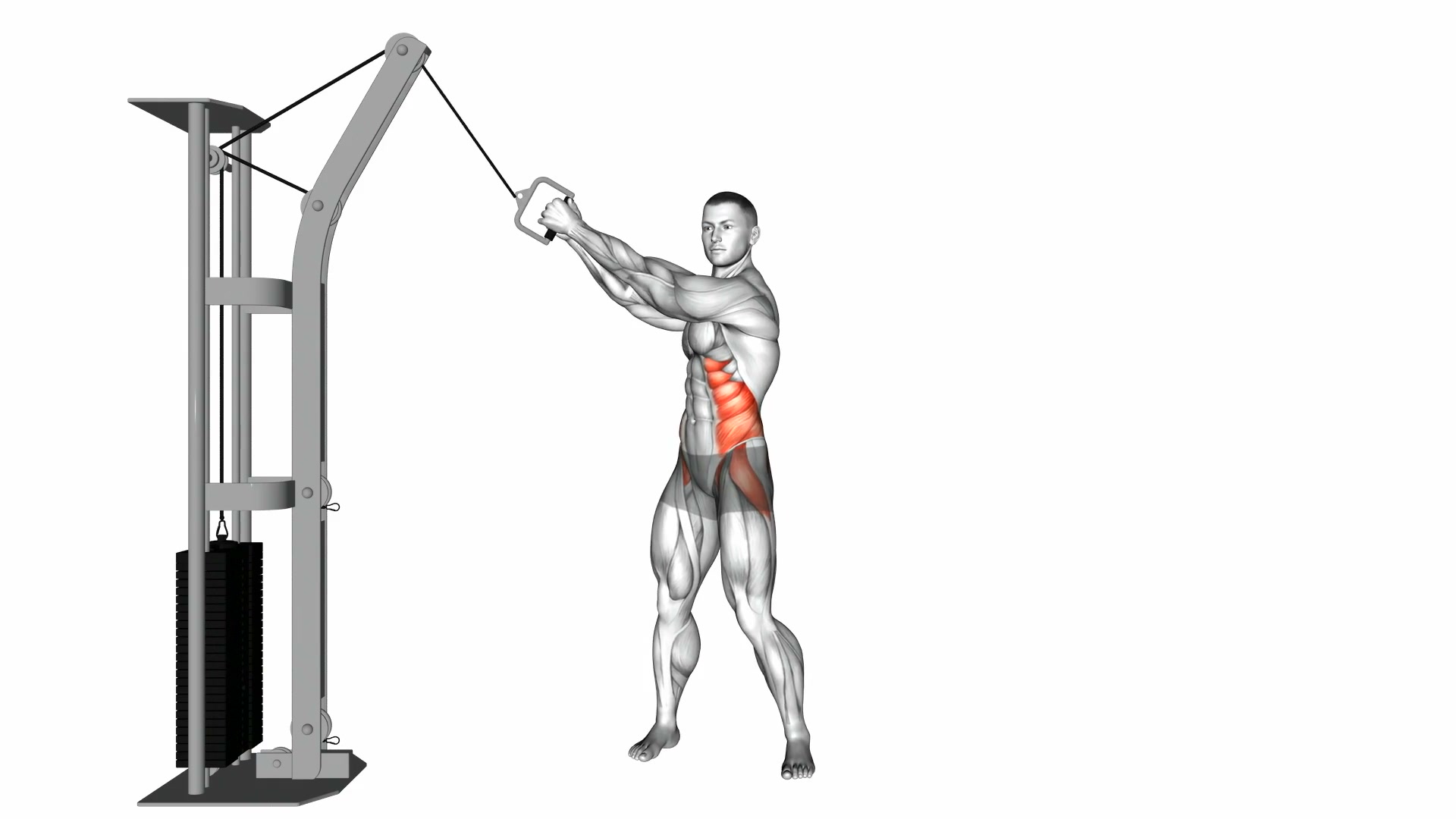Cable Twist (up-down) demo