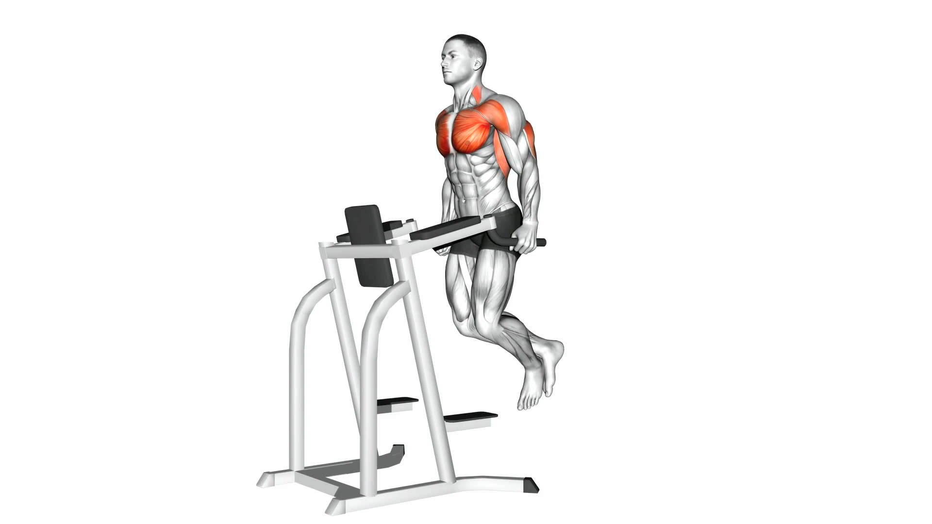 Chest Dips