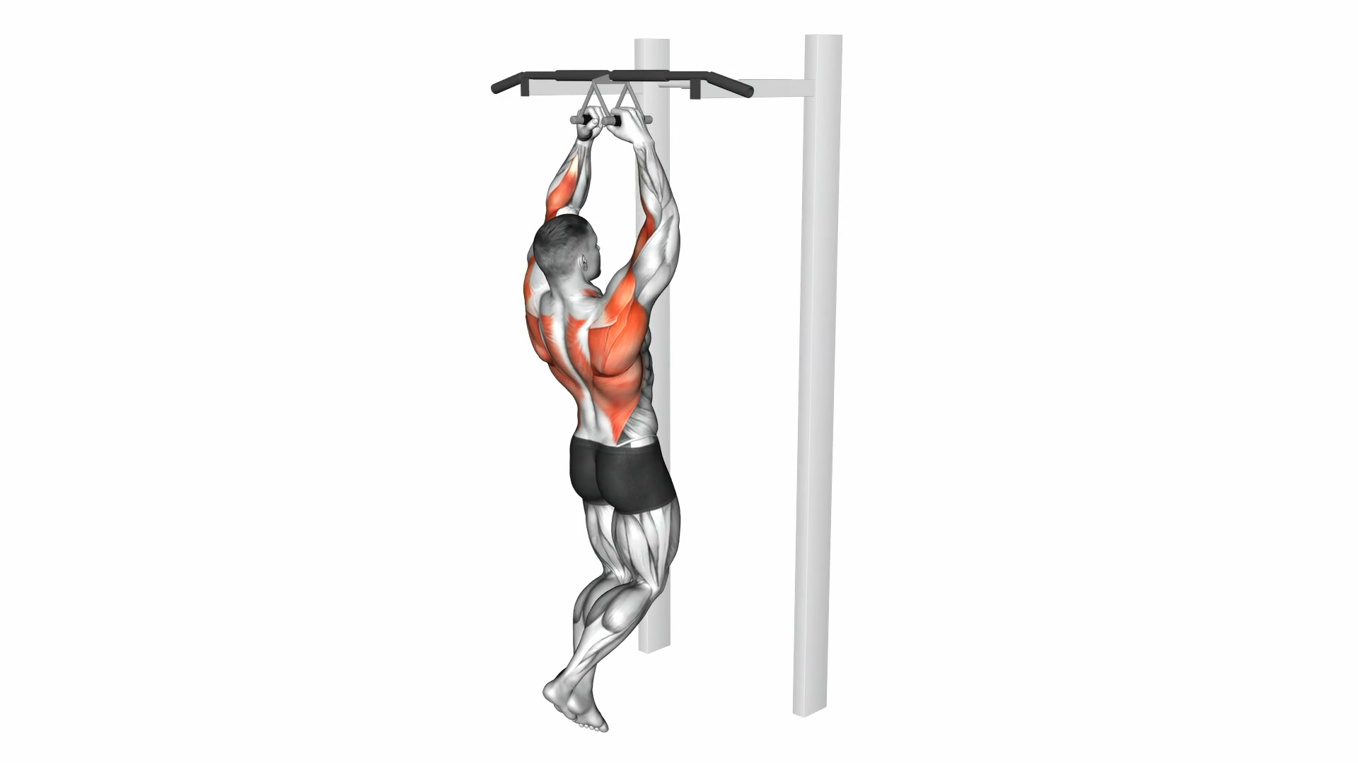 Chin-ups (narrow parallel grip) demo