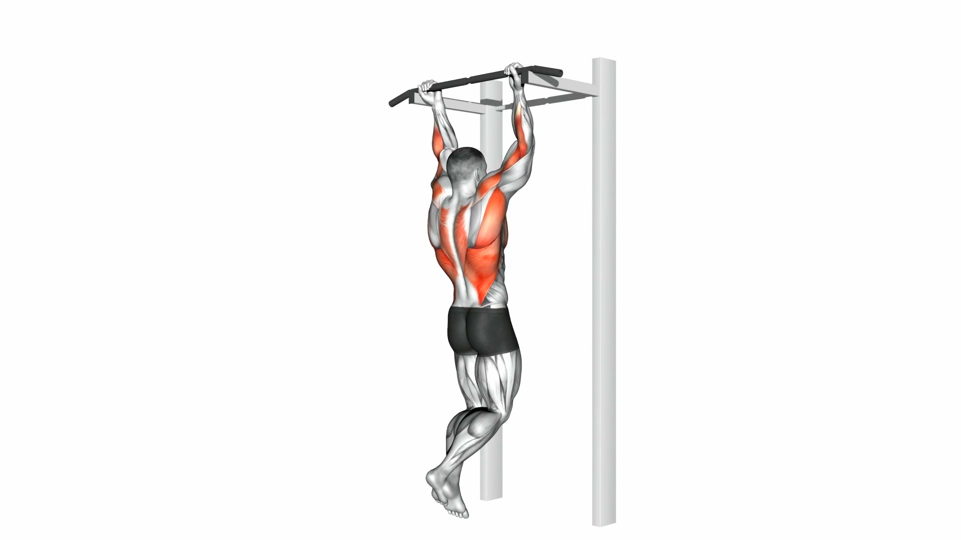 Pull-Up / Chin-Up demo