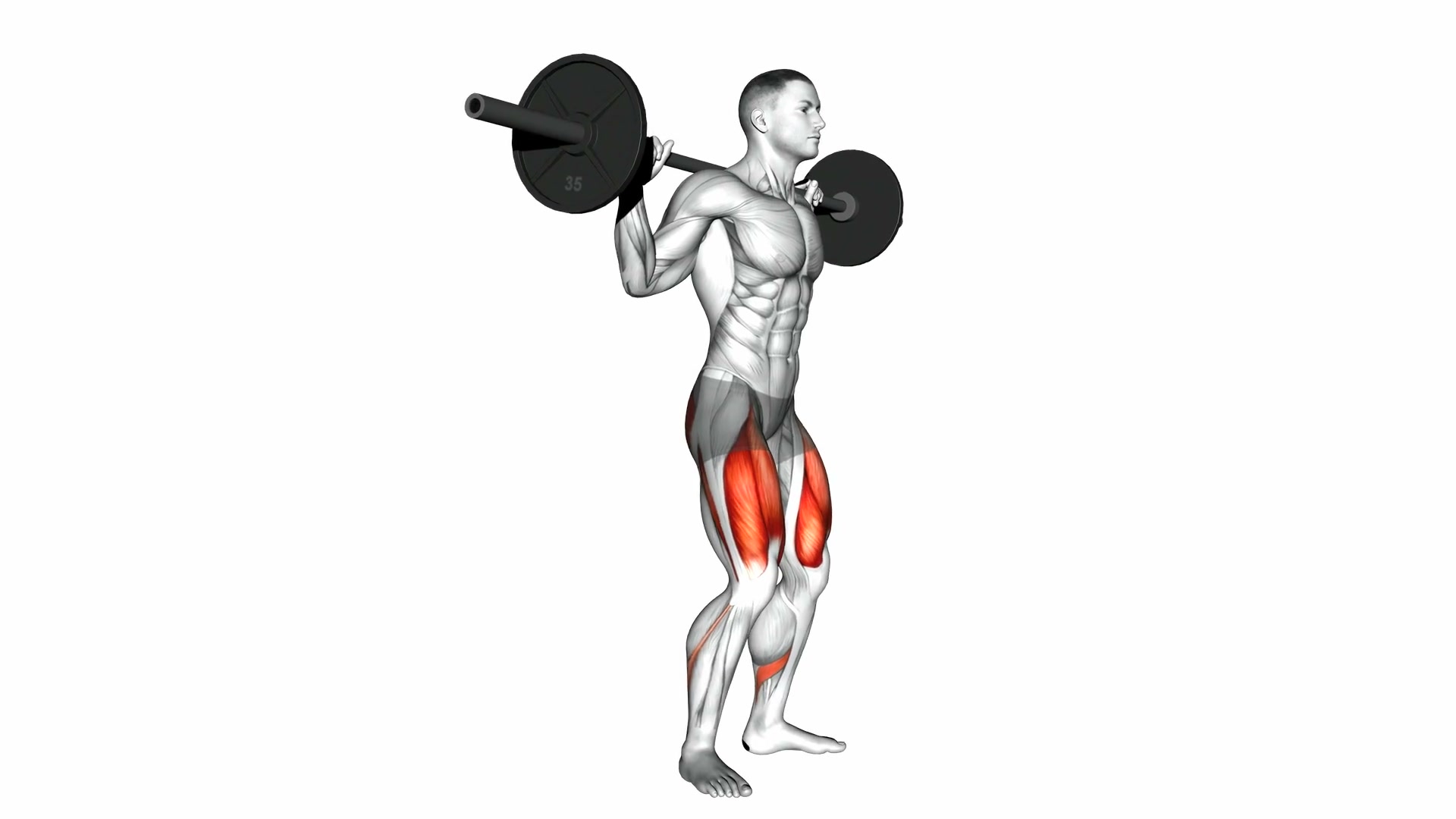 Barbell Back Squat demo